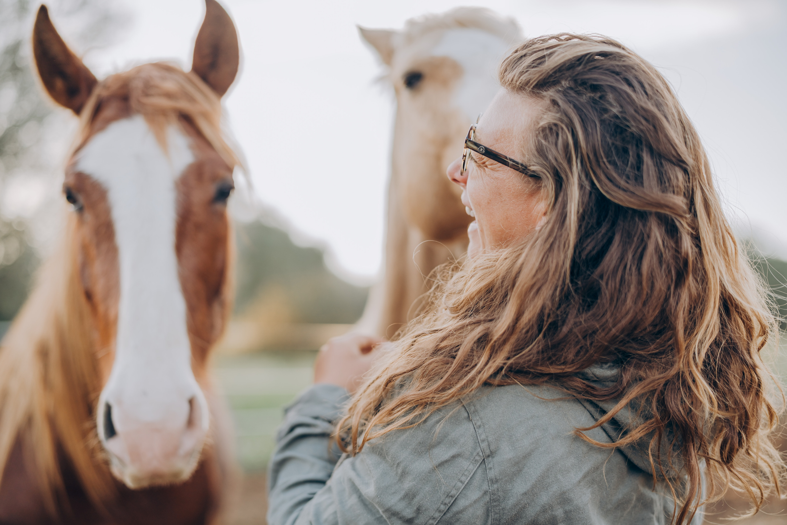 Photo session with horses. Photographer in Mallorca