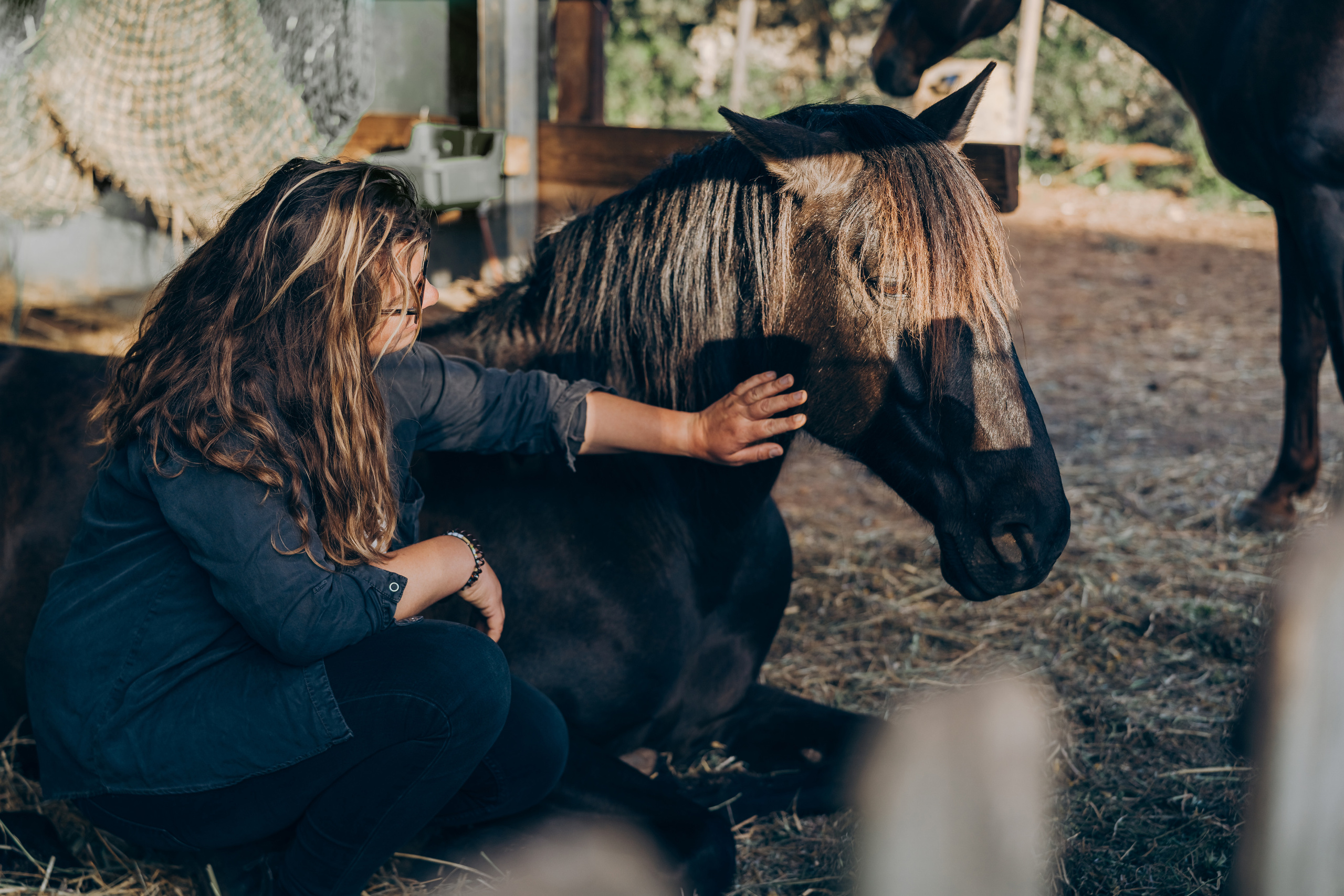 Photo session with horses. Photographer in Mallorca