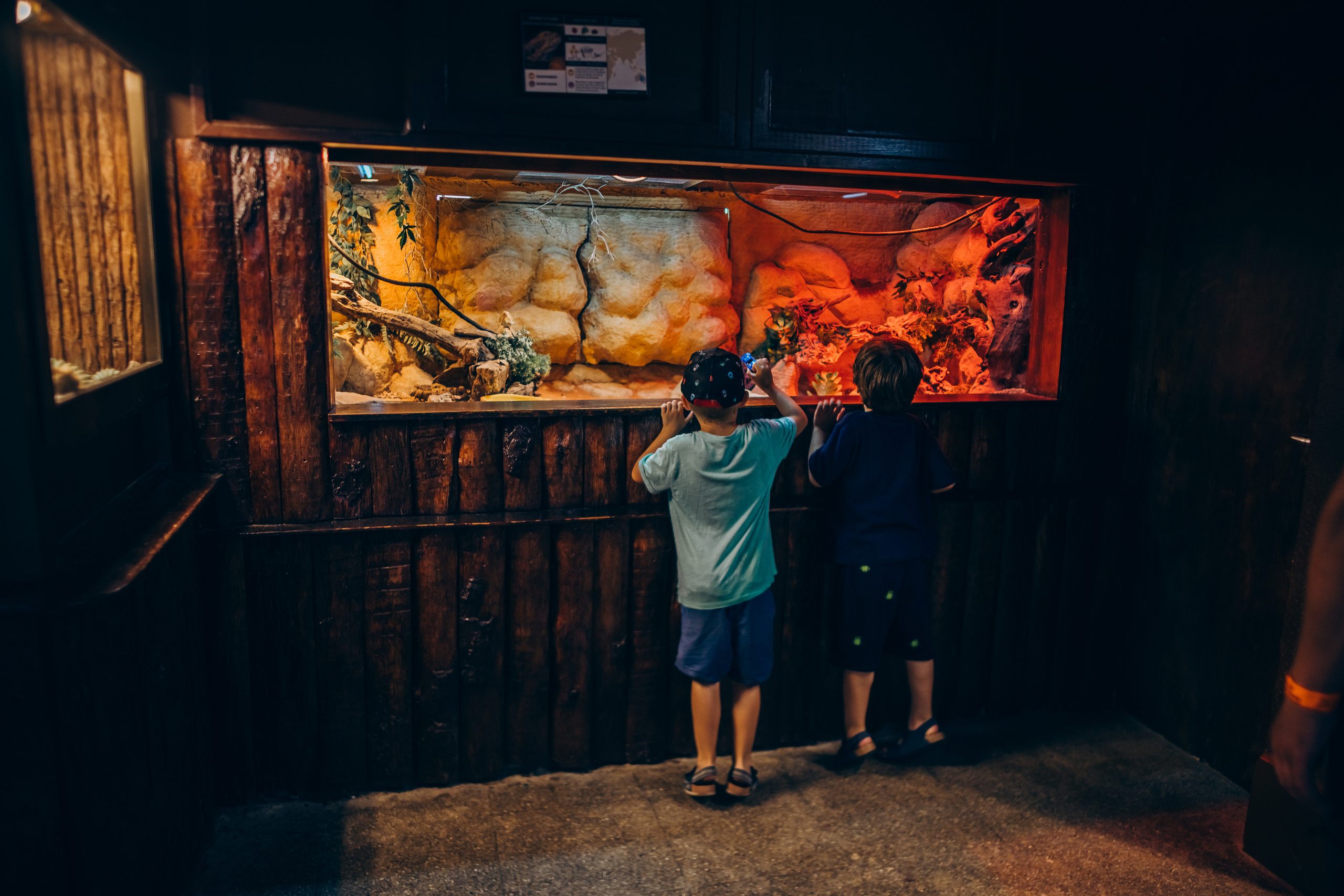 Kids birthday in aquapark. Photographer in Mallorca