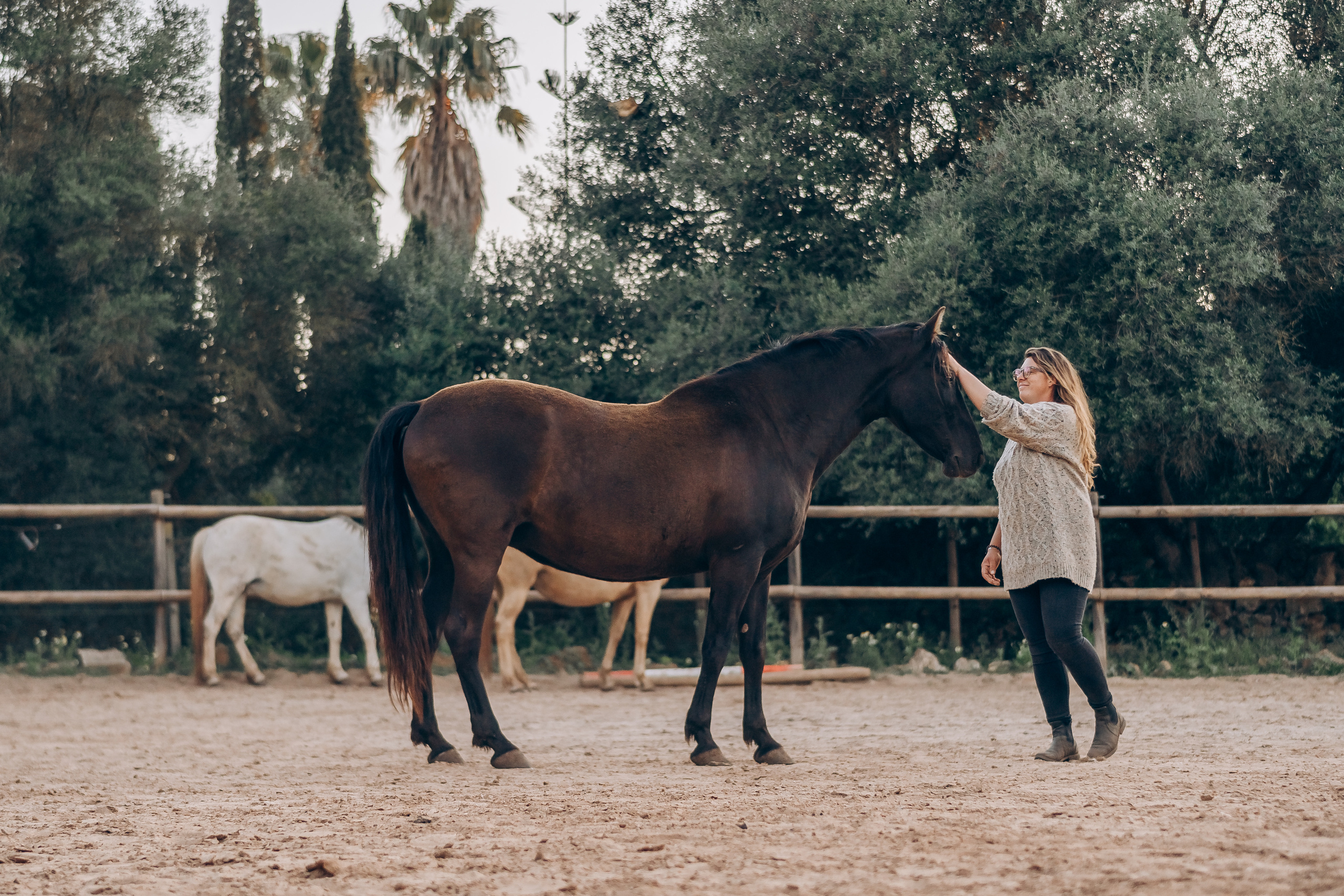 Photo session with horses. Photographer in Mallorca