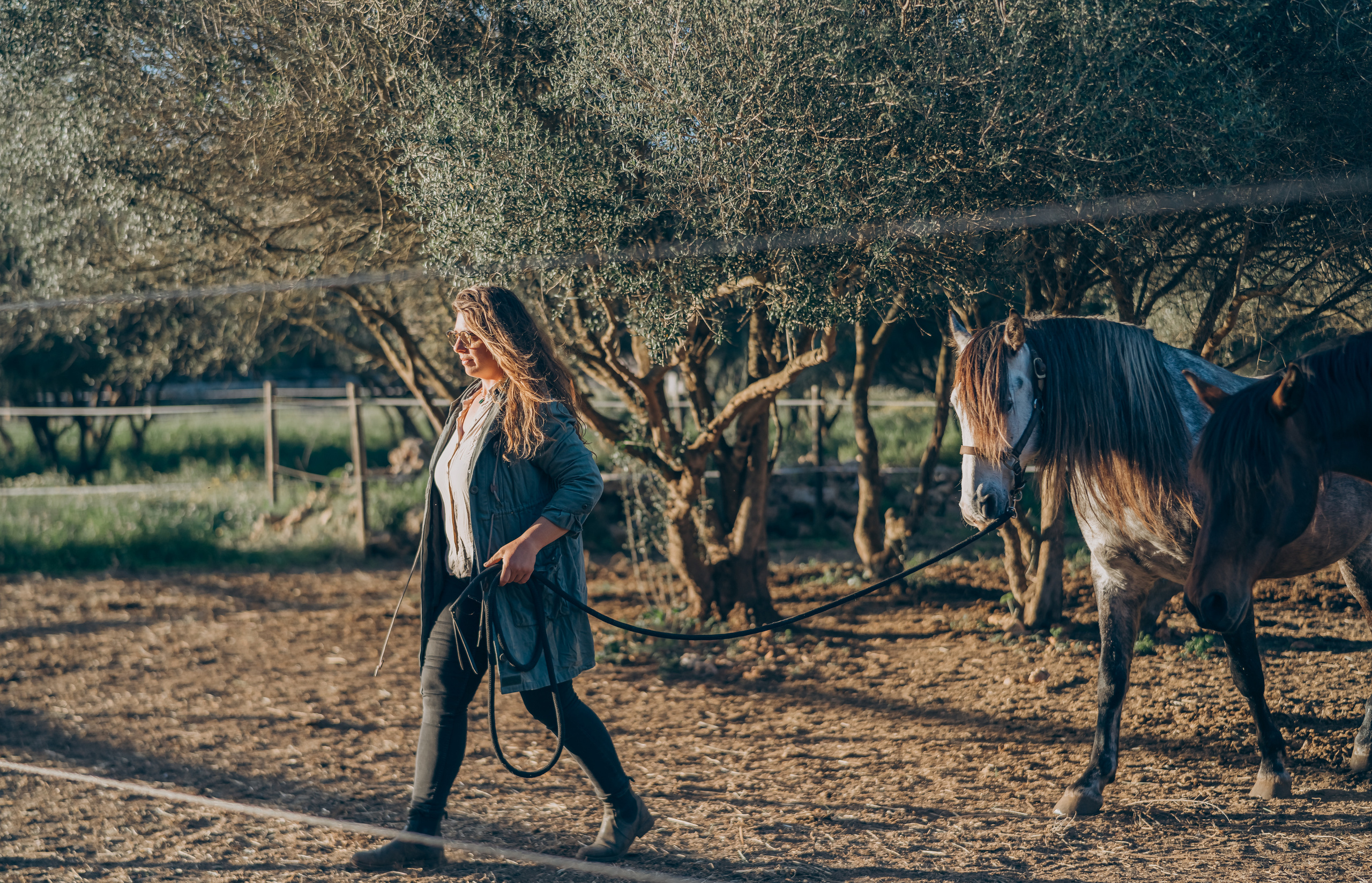 Photo session with horses. Photographer in Mallorca