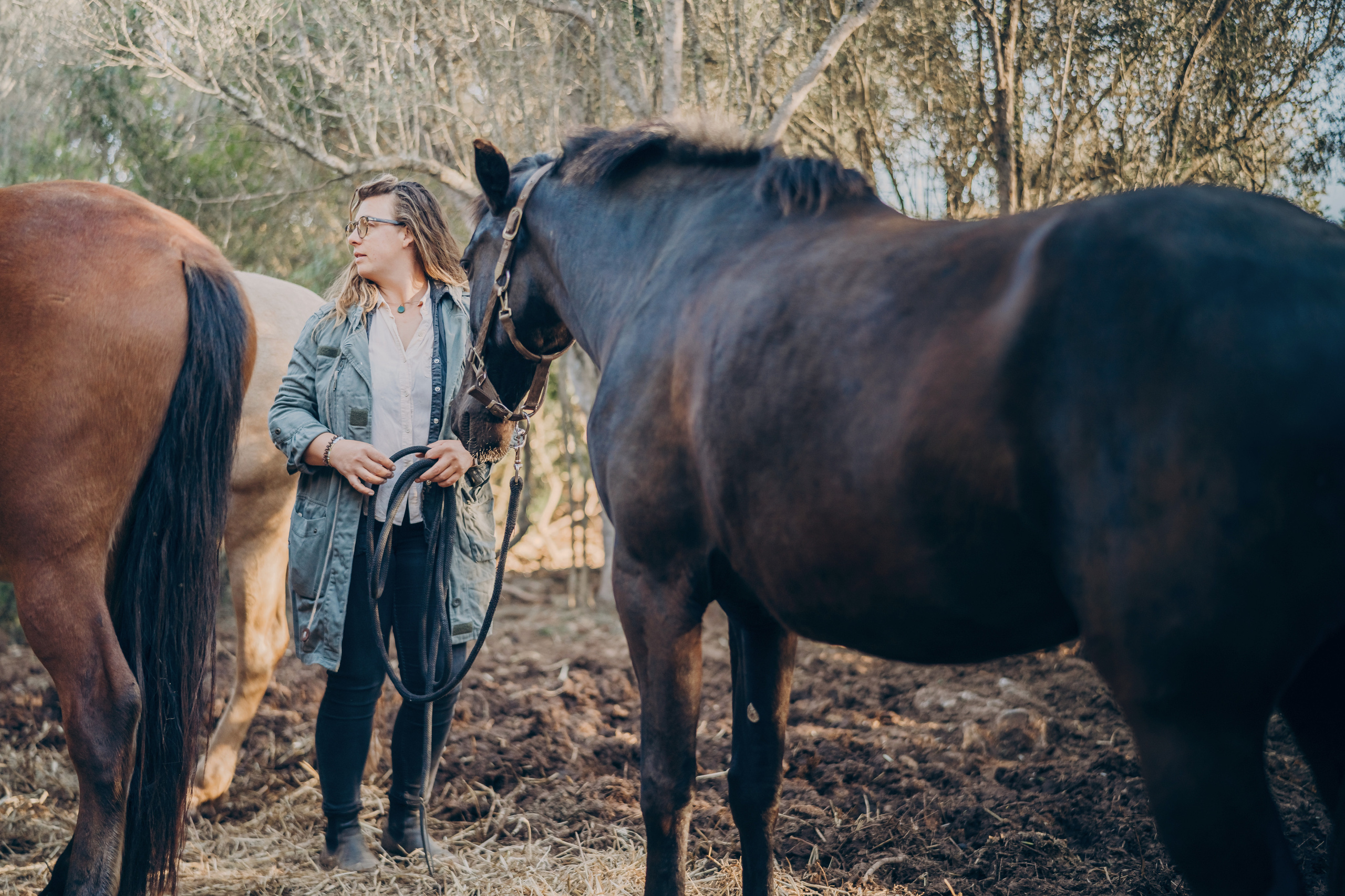 Photo session with horses. Photographer in Mallorca