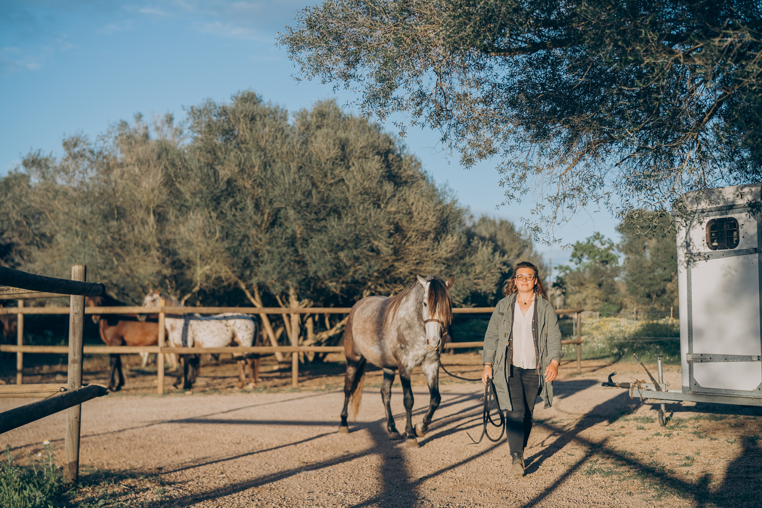 Photo session with horses. Photographer in Mallorca