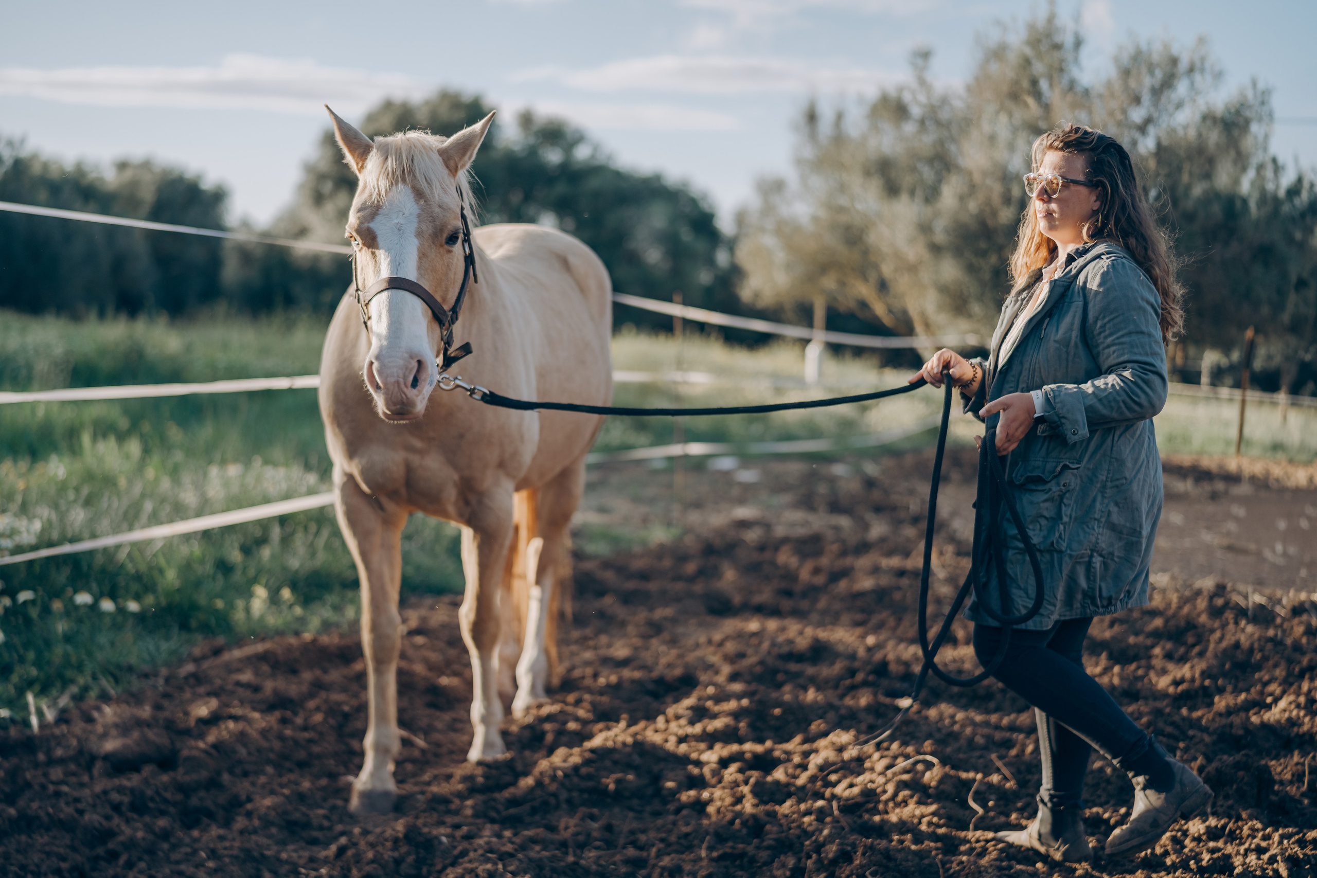 Photo session with horses. Photographer in Mallorca