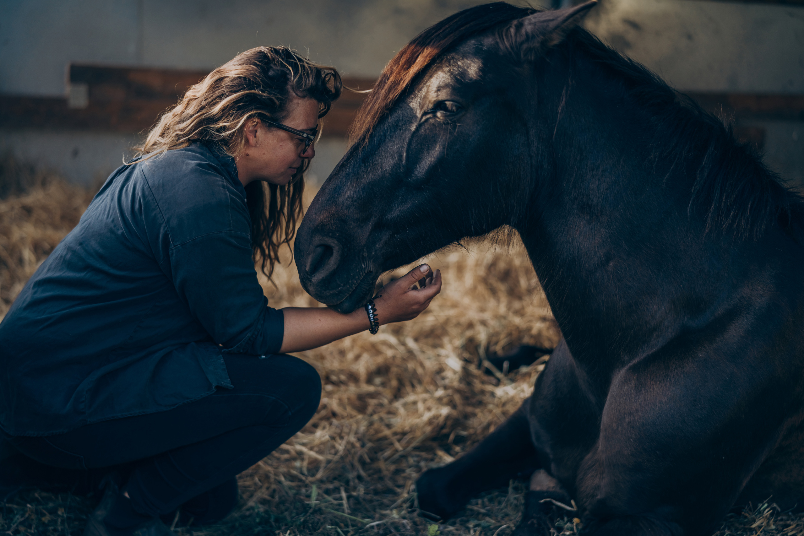 Photo session with horses. Photographer in Mallorca