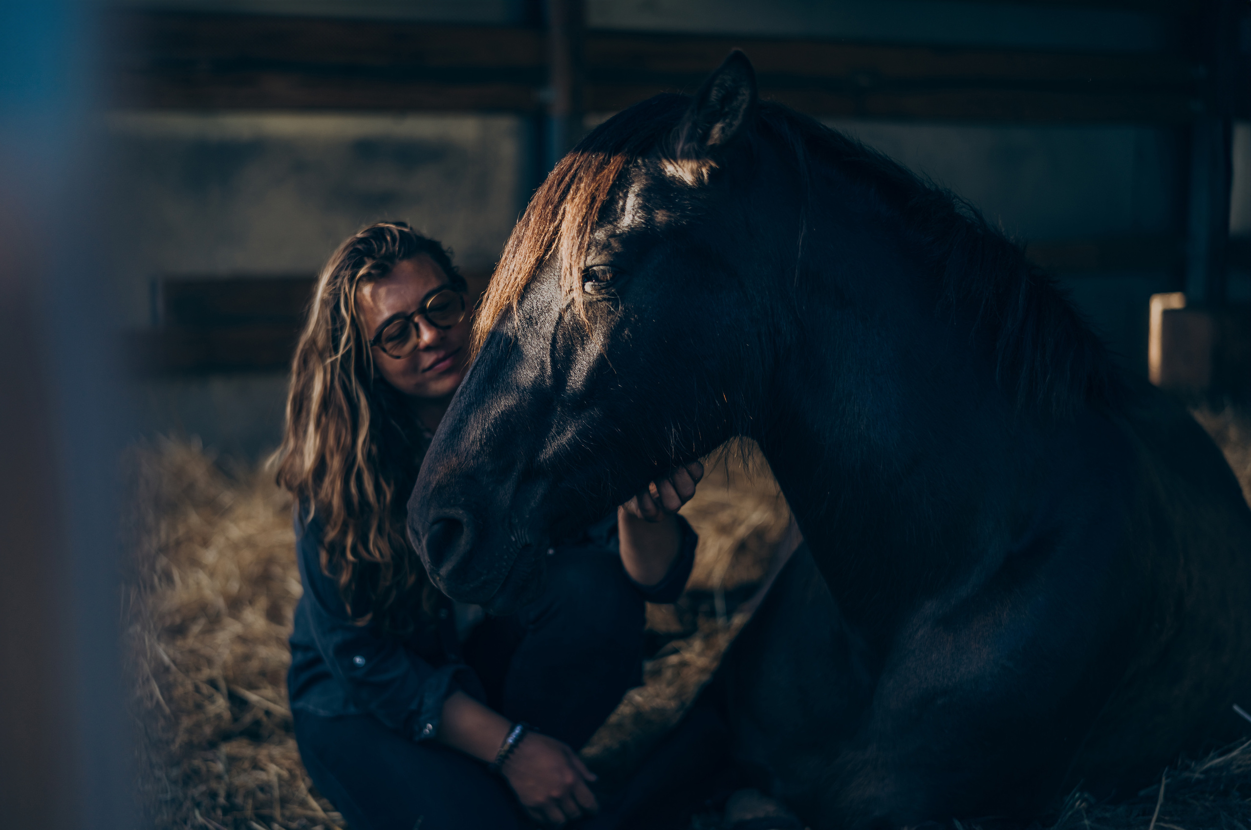 Photo session with horses. Photographer in Mallorca
