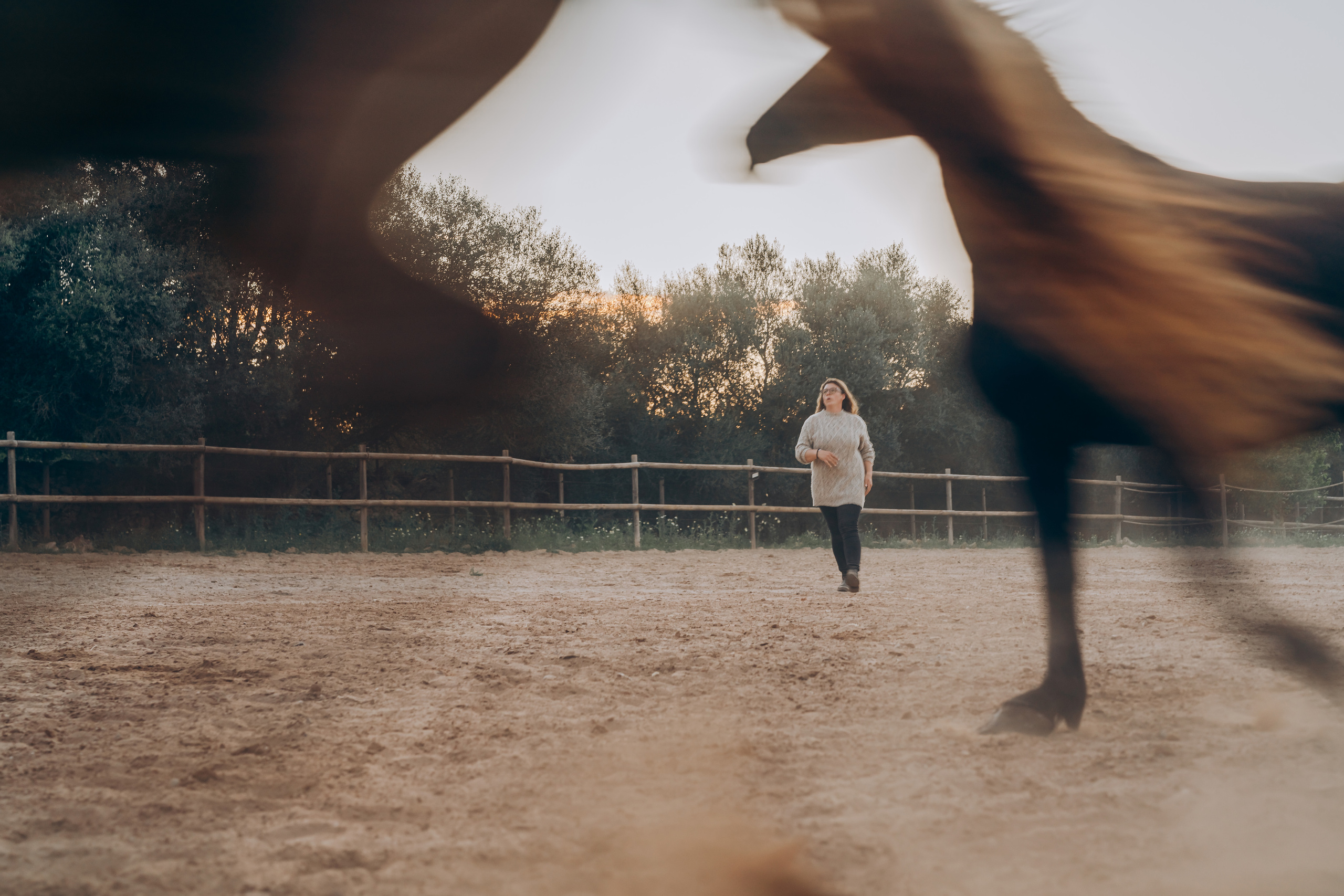 Photo session with horses. Photographer in Mallorca