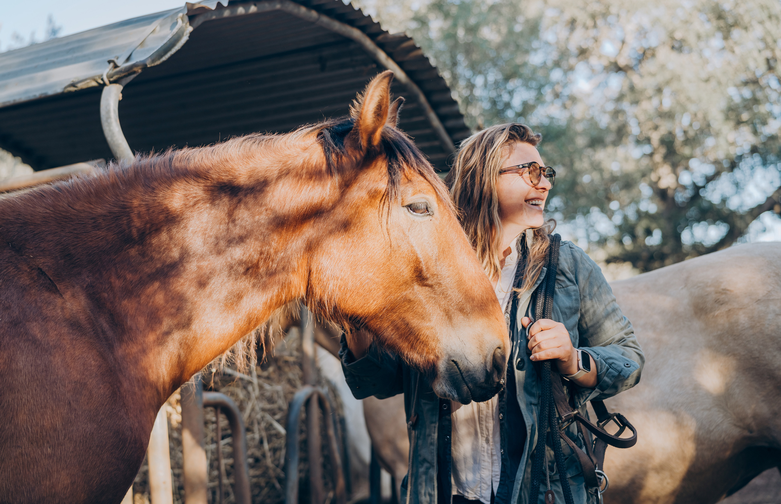 Photo session with horses. Photographer in Mallorca