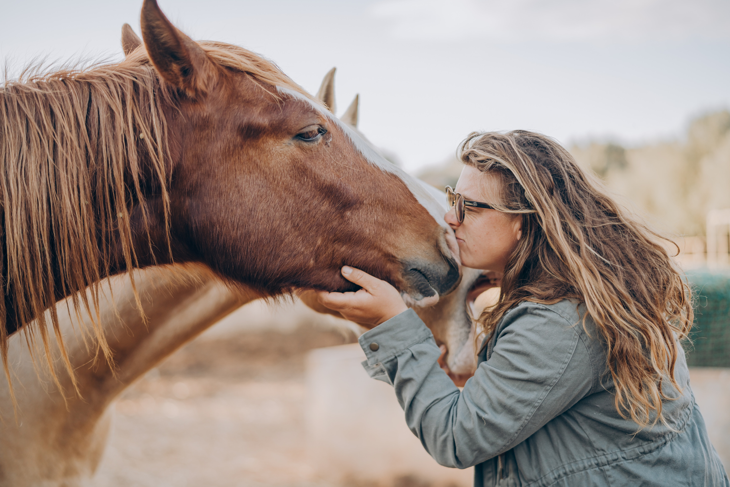 Photo session with horses. Photographer in Mallorca
