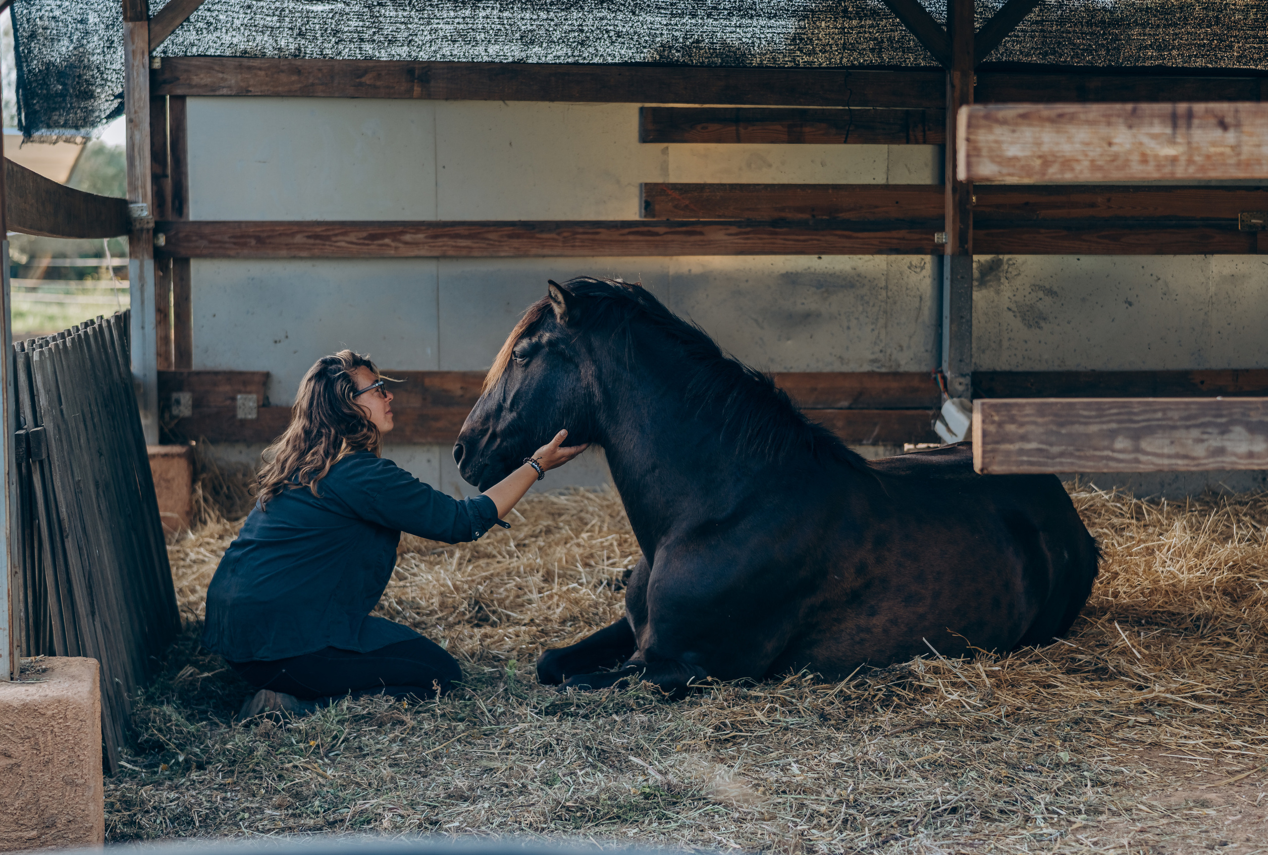 Photo session with horses. Photographer in Mallorca