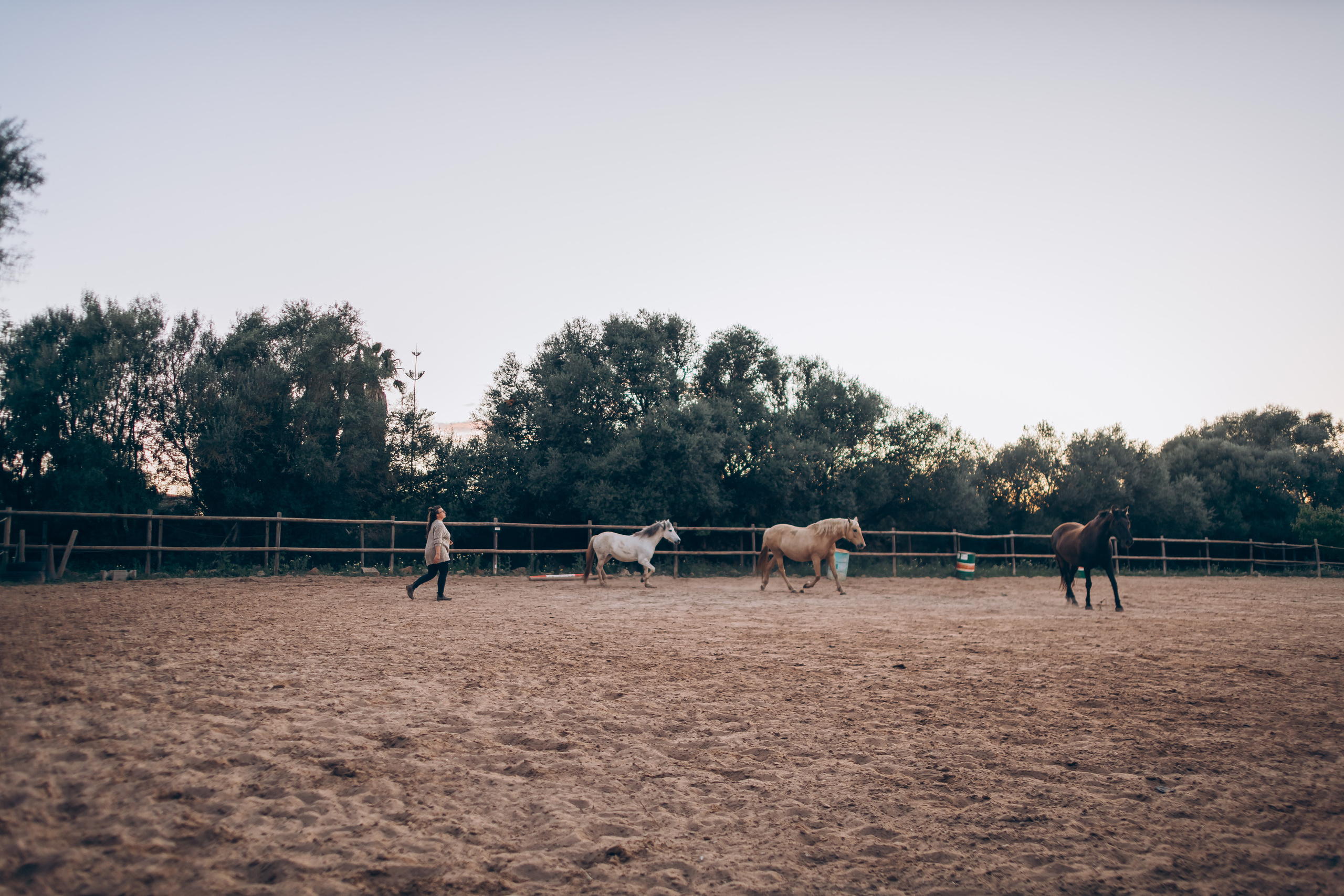 Photo session with horses. Photographer in Mallorca