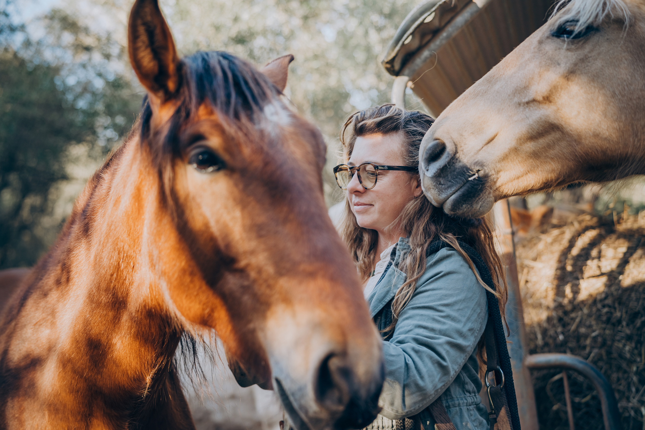 Photo session with horses. Photographer in Mallorca
