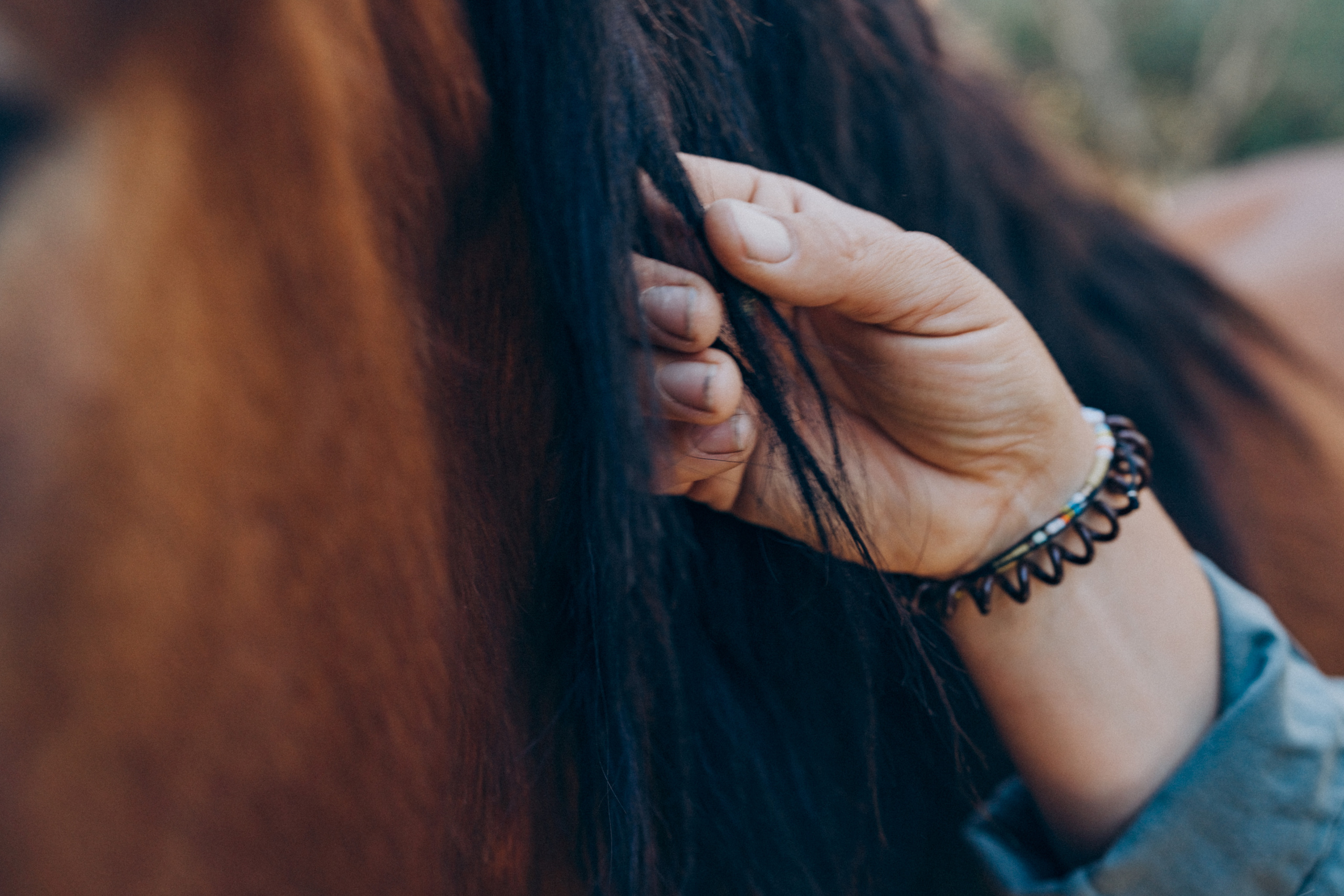 Photo session with horses. Photographer in Mallorca