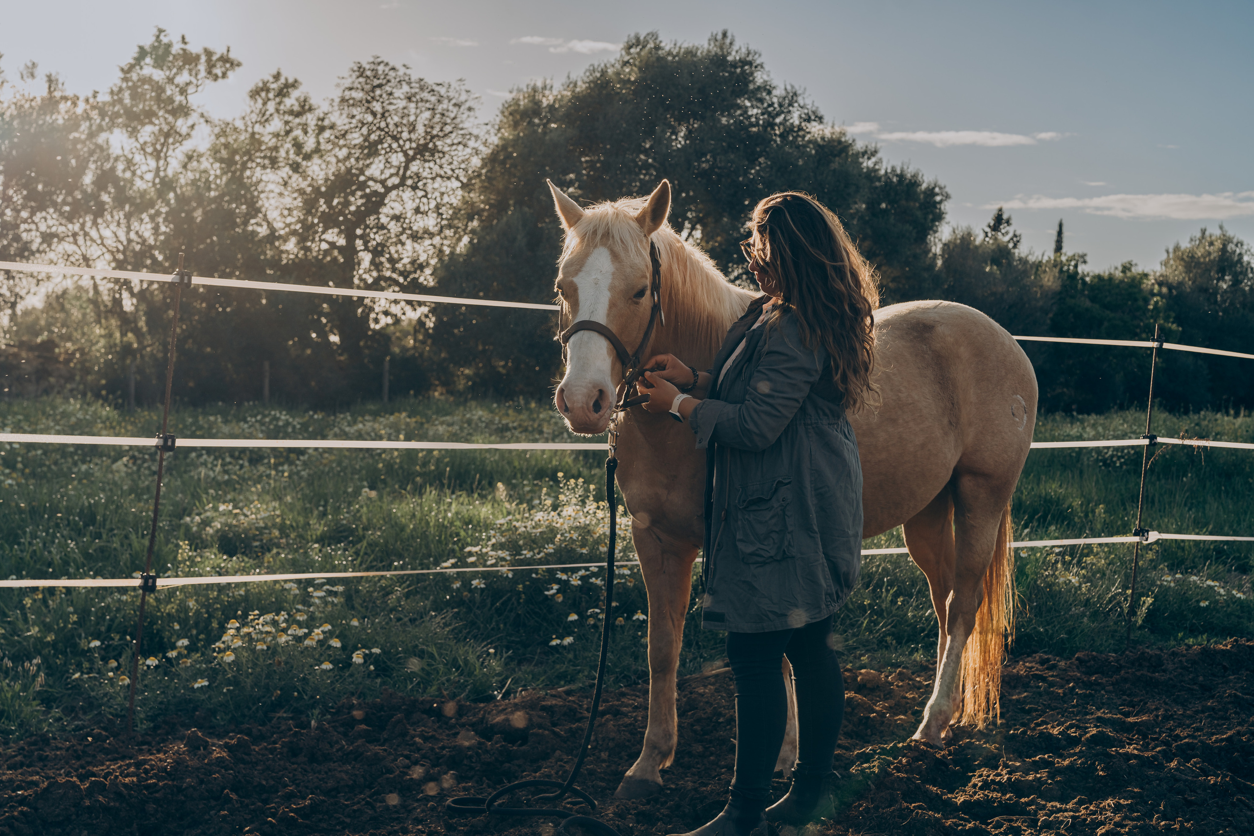 Photo session with horses. Photographer in Mallorca