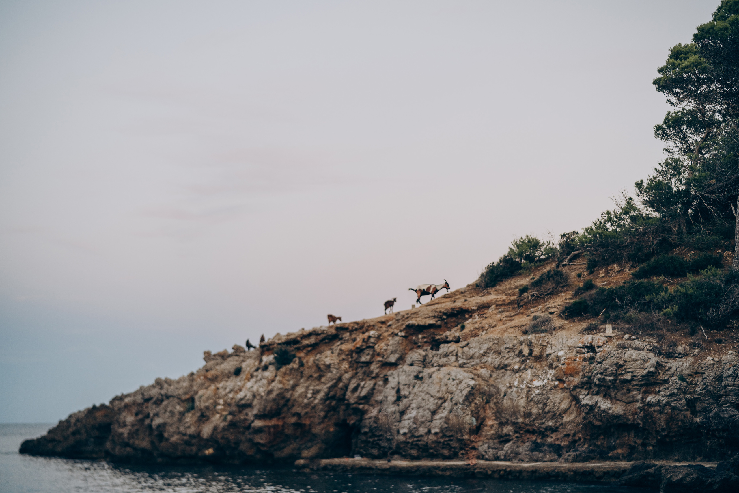 Khristina & Nikita. Фотограф у Пальма де Майорка