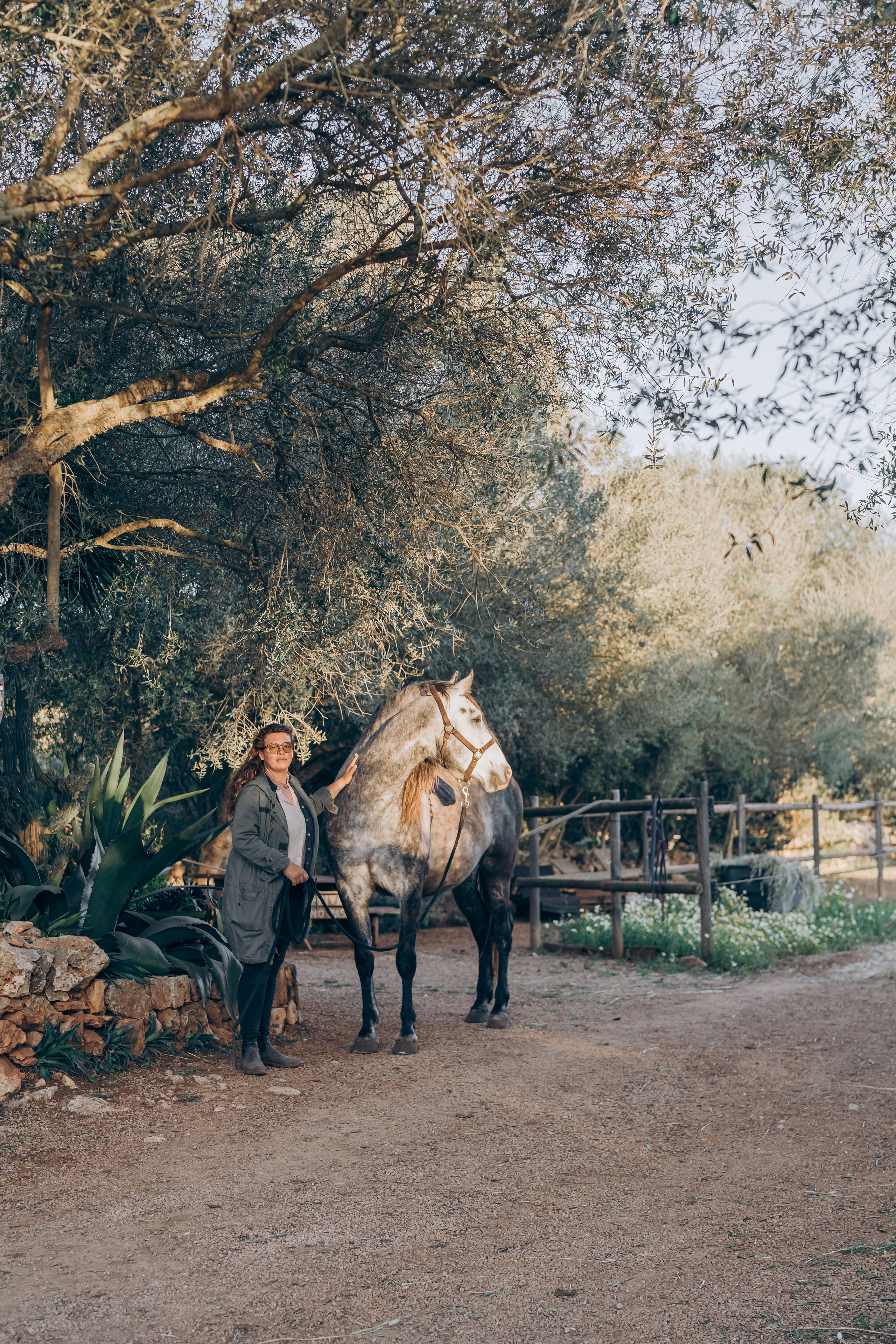 Photo session with horses. Photographer in Mallorca