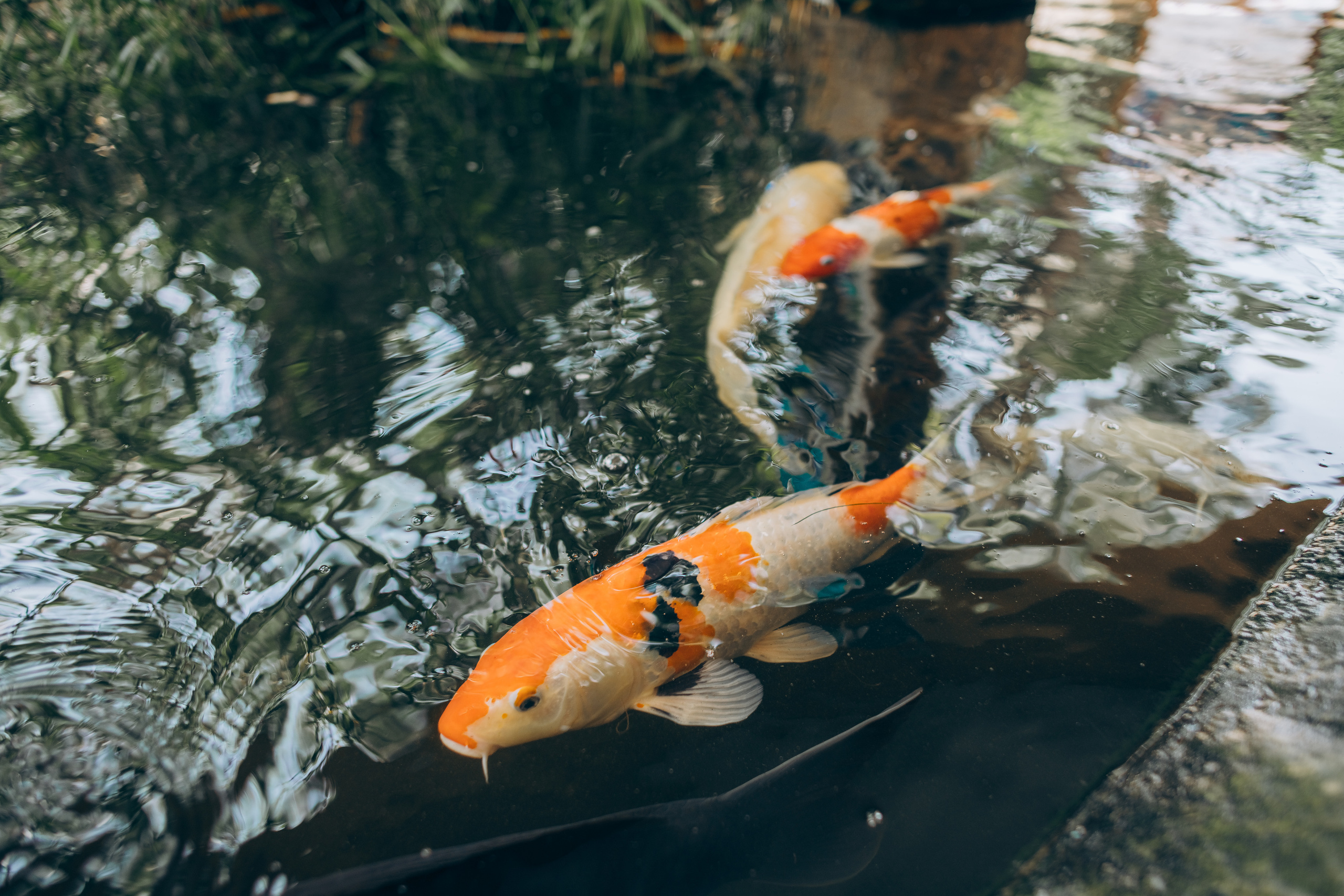 Kids birthday in aquapark. Photographer in Mallorca
