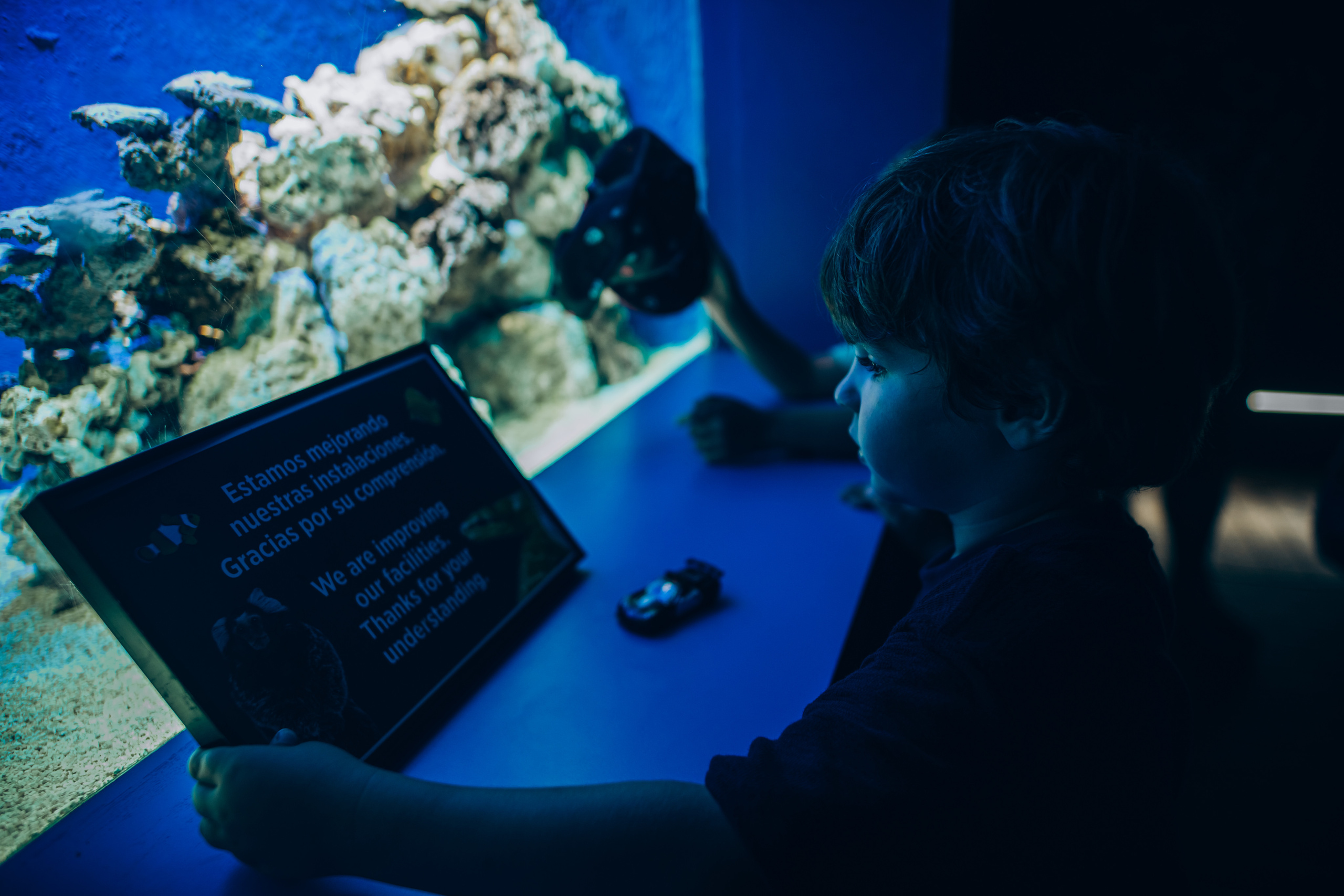 Kids birthday in aquapark. Photographer in Mallorca