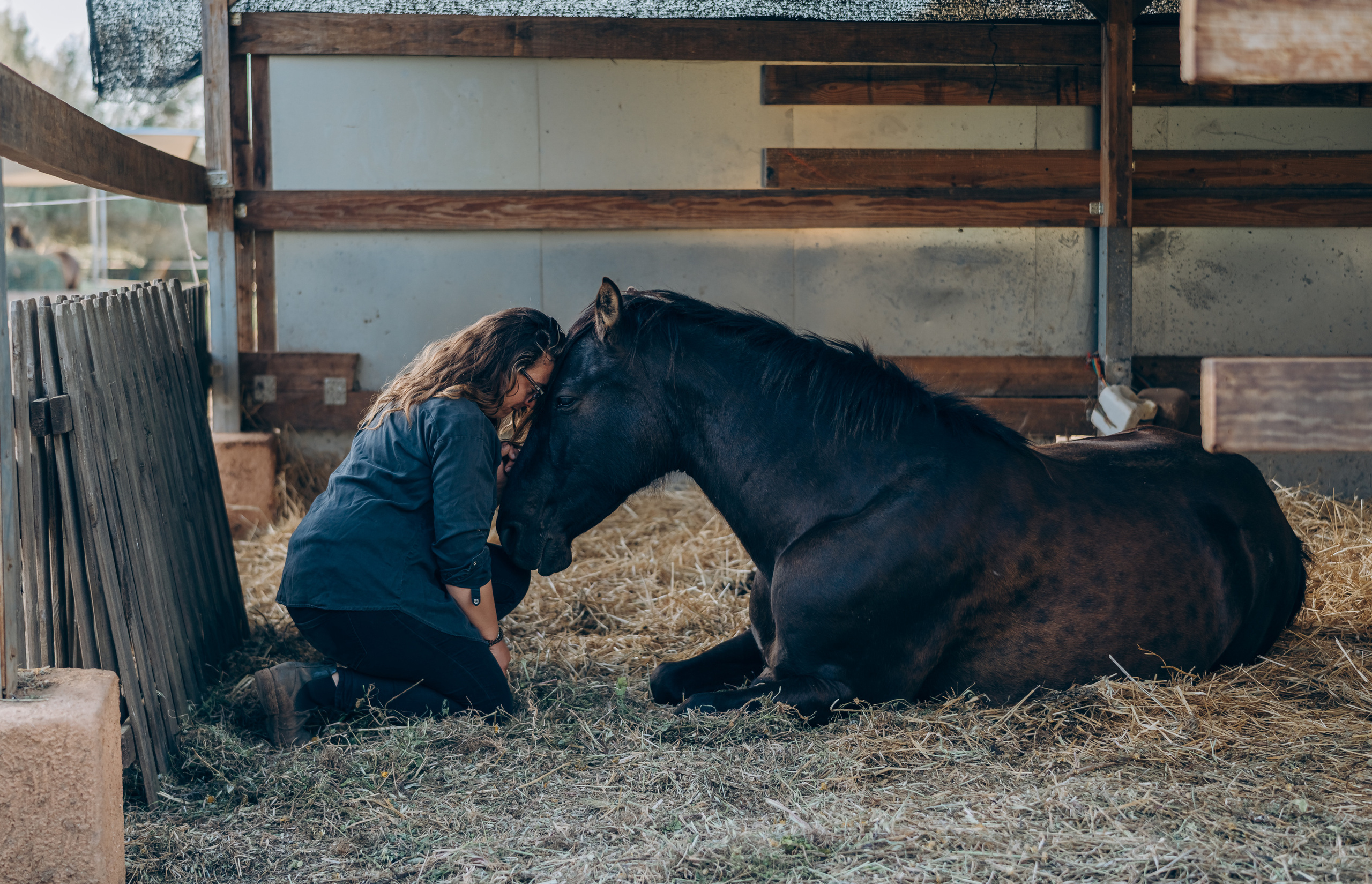 Photo session with horses. Photographer in Mallorca