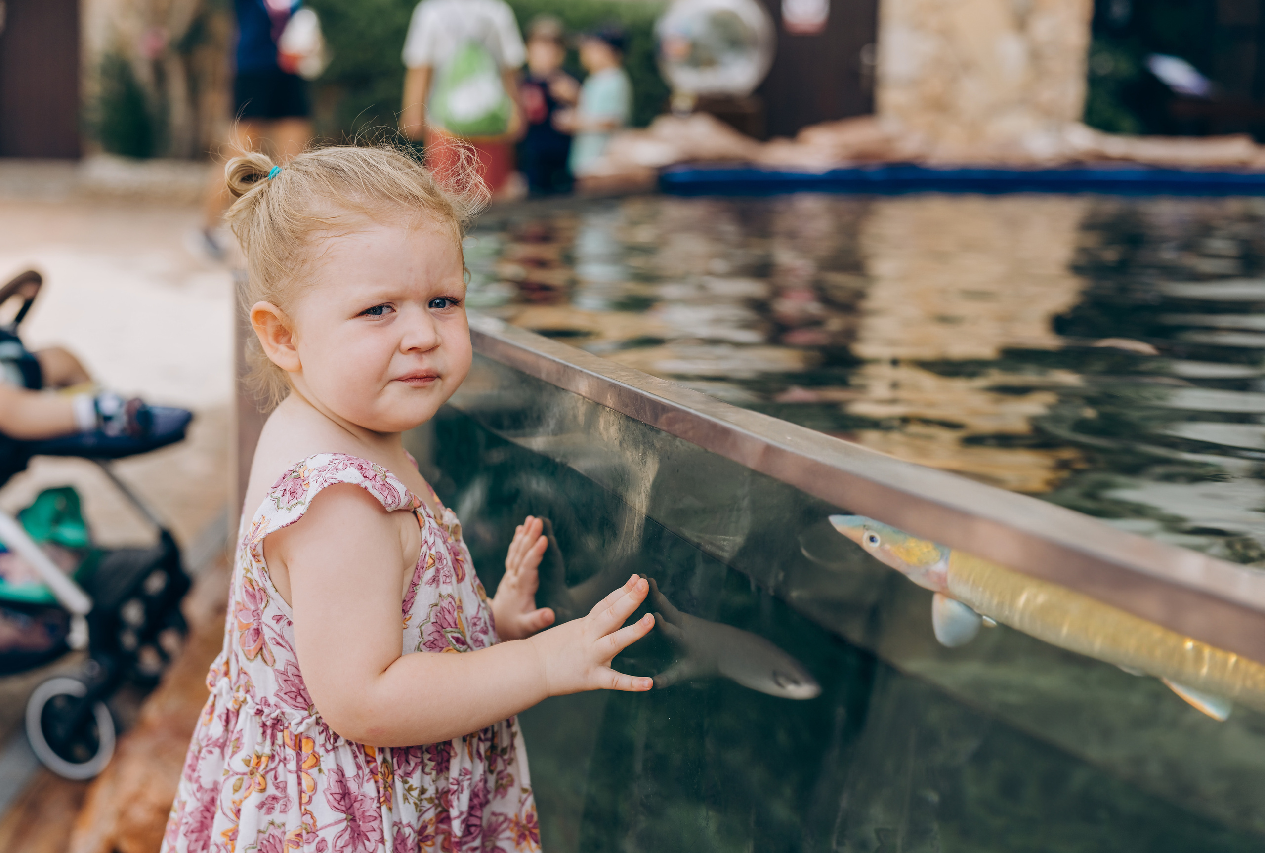 Kids birthday in aquapark. Photographer in Mallorca