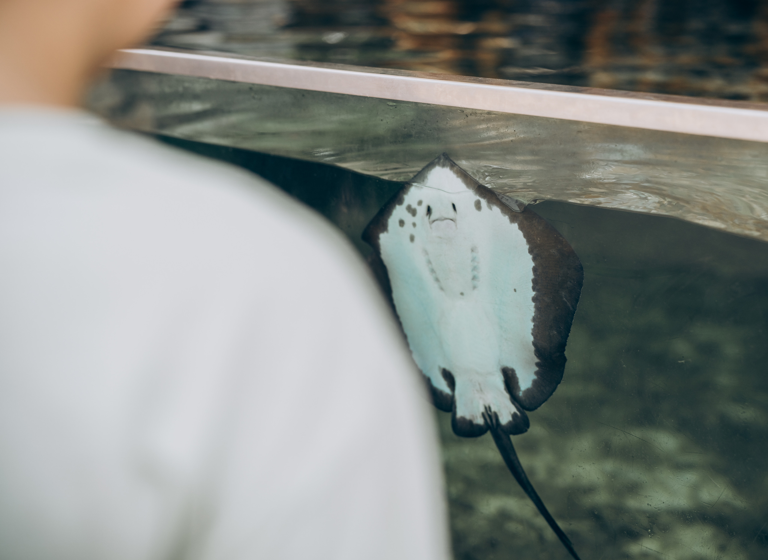 Kids birthday in aquapark. Photographer in Mallorca