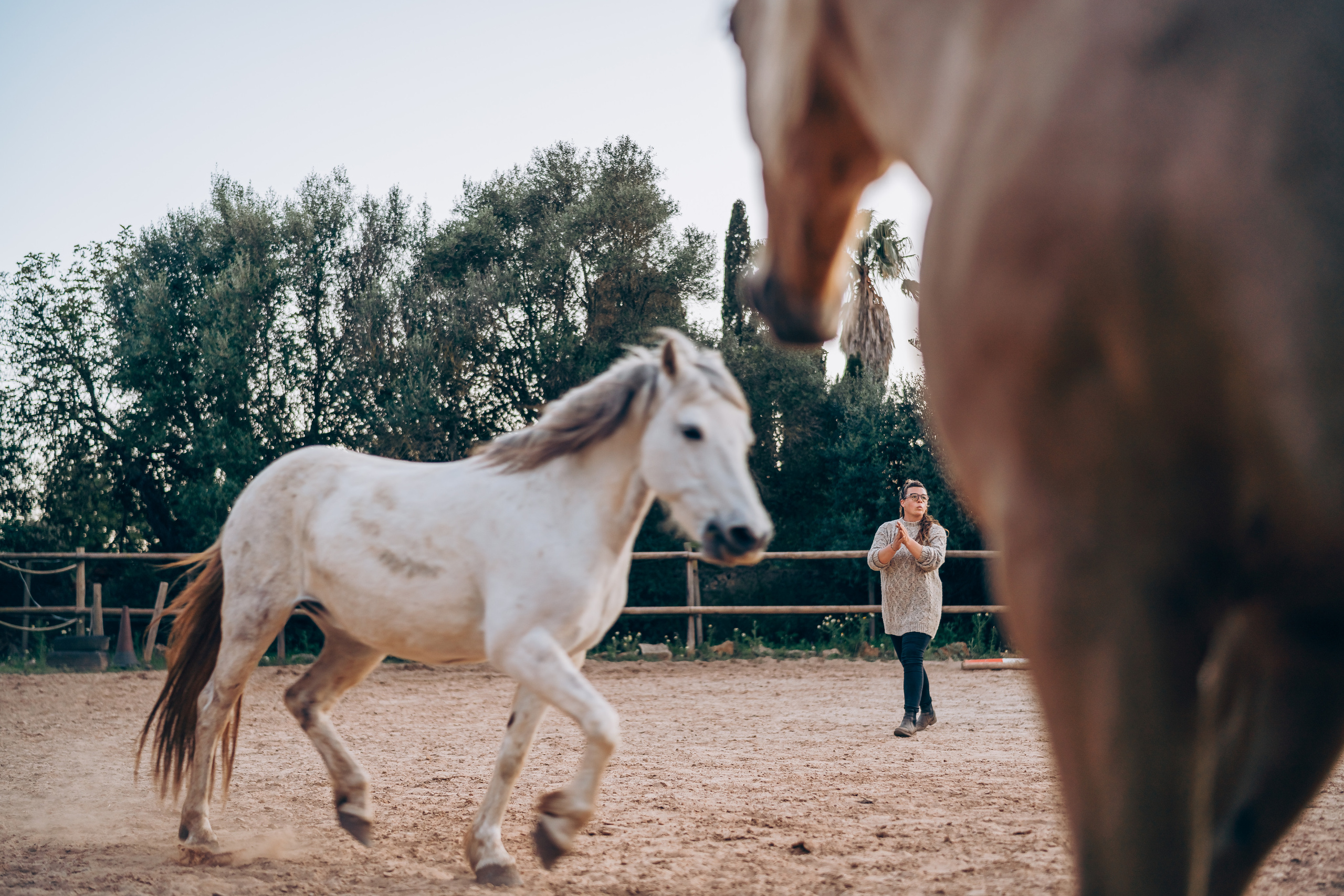 Photo session with horses. Photographer in Mallorca