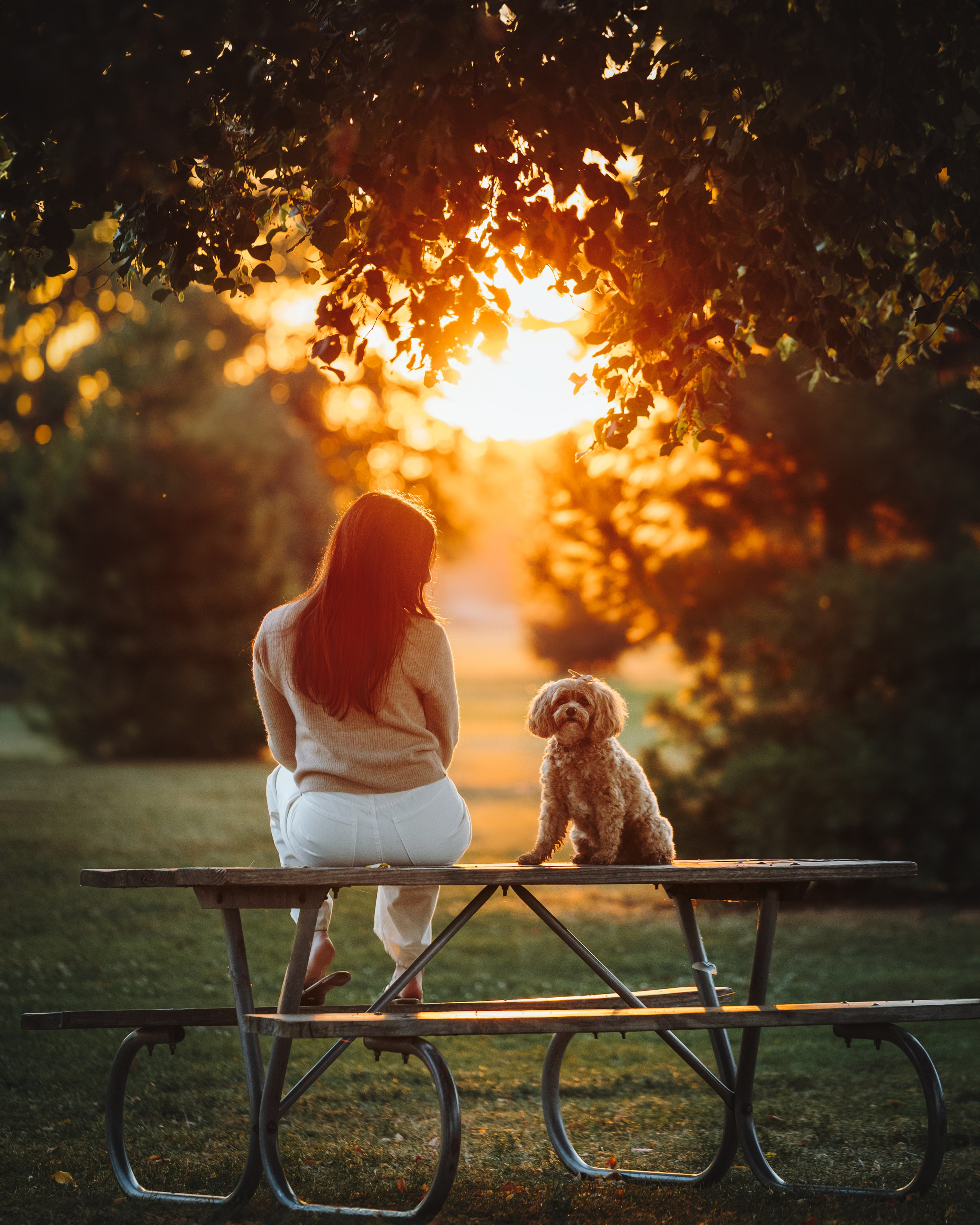 Pet Photographer Viktoriya Aleshenko
