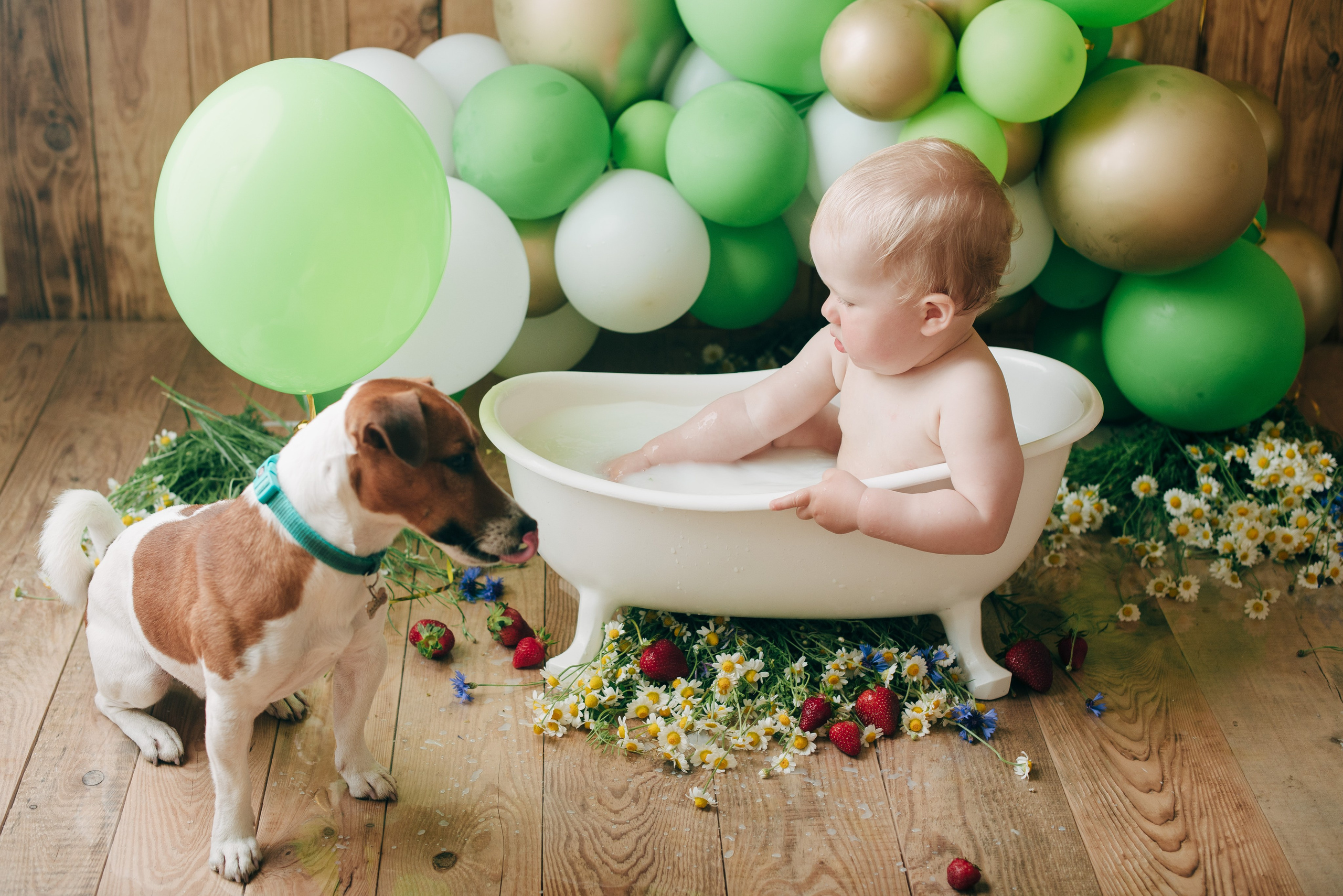 SVYATOSLAV. Https://newbornphoto.wfolio.pro/me