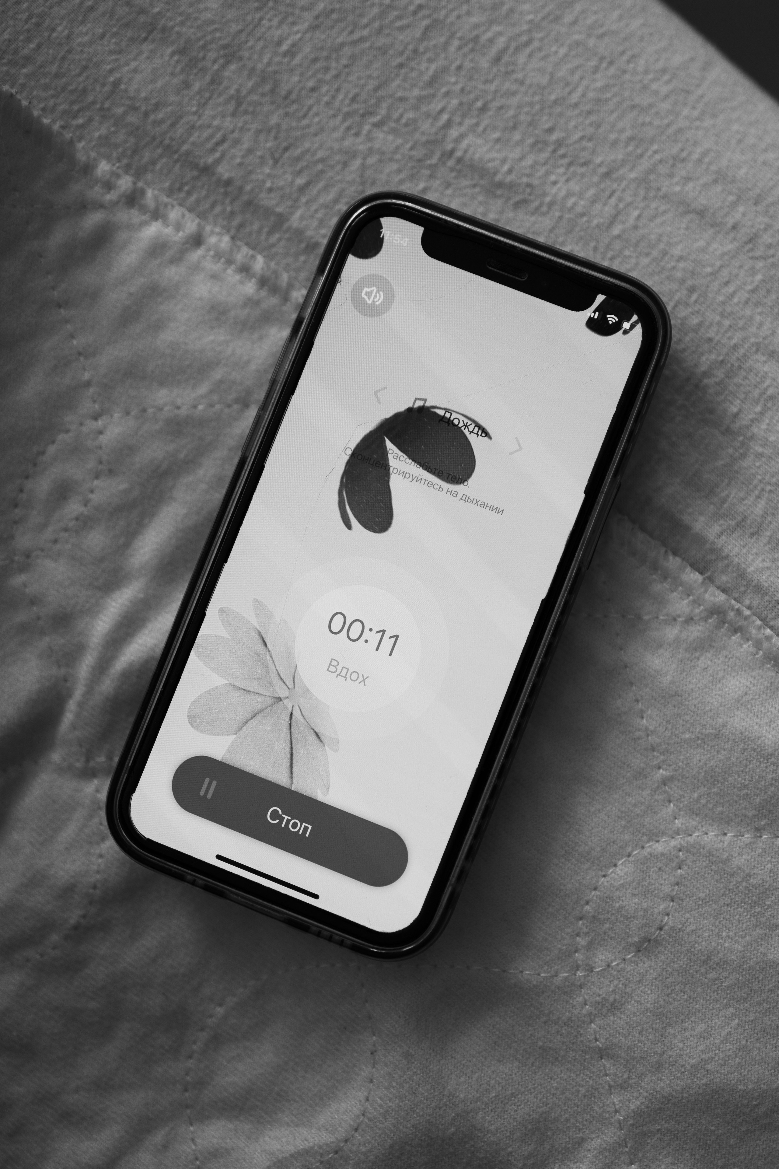 Exclusive maternity and newborn photography. Dresden, Leipzig, Berlin. Family & Maternity Photographer in Dresden Tatiana Mudryak