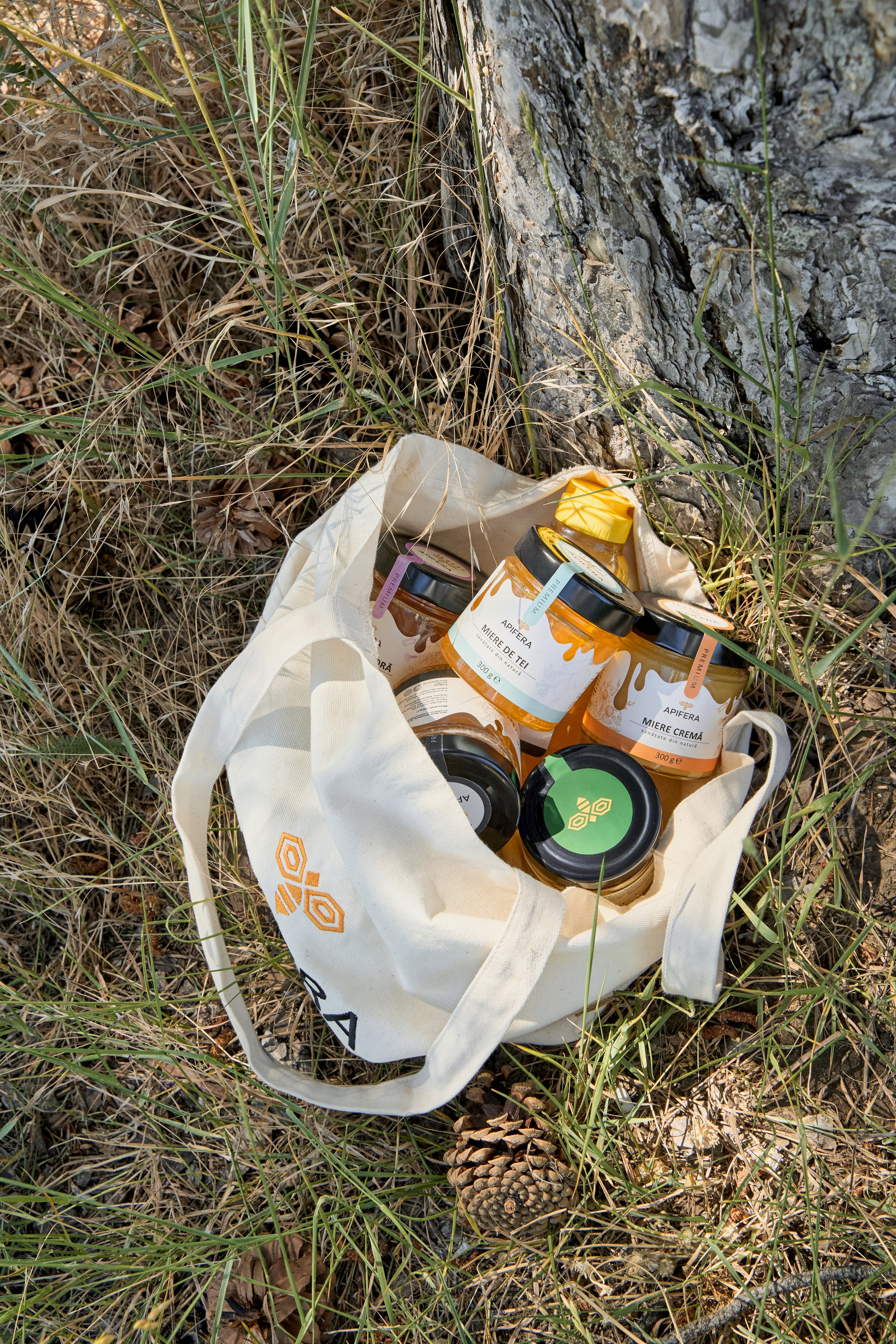 Apifera. Привет