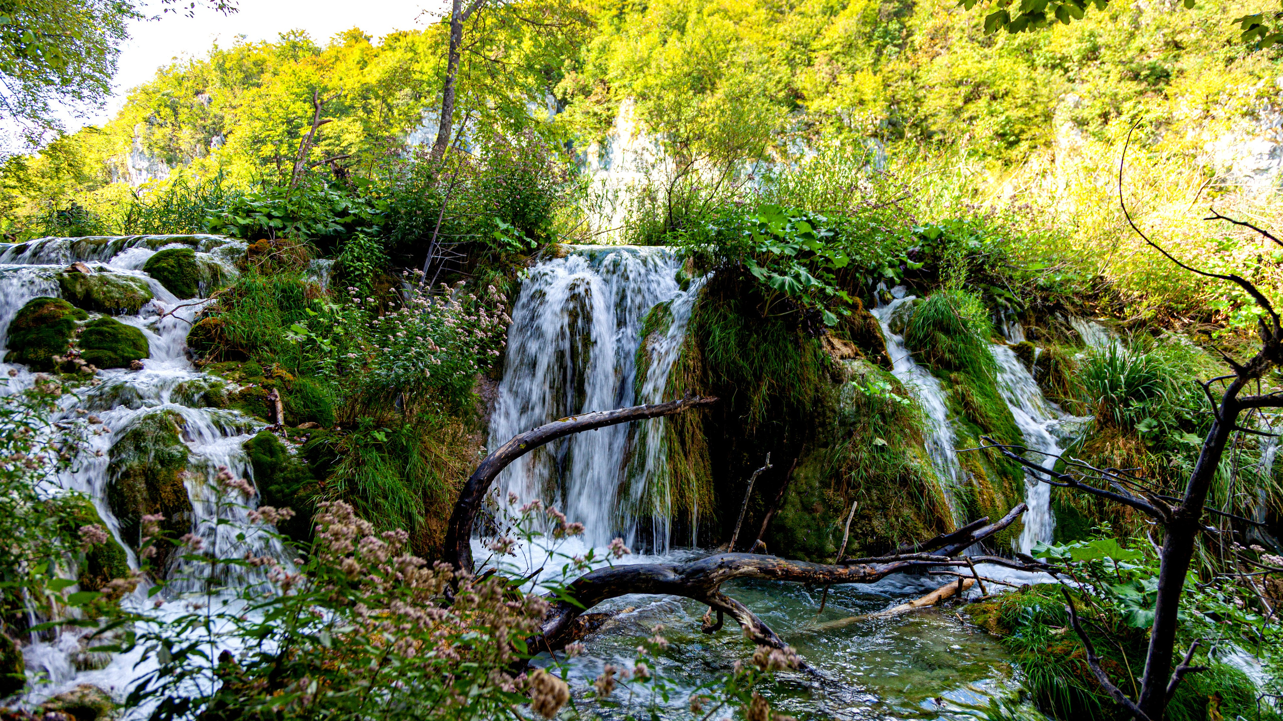161.Plitvice lakes.17.9.2023. Путешествия в формате 360......