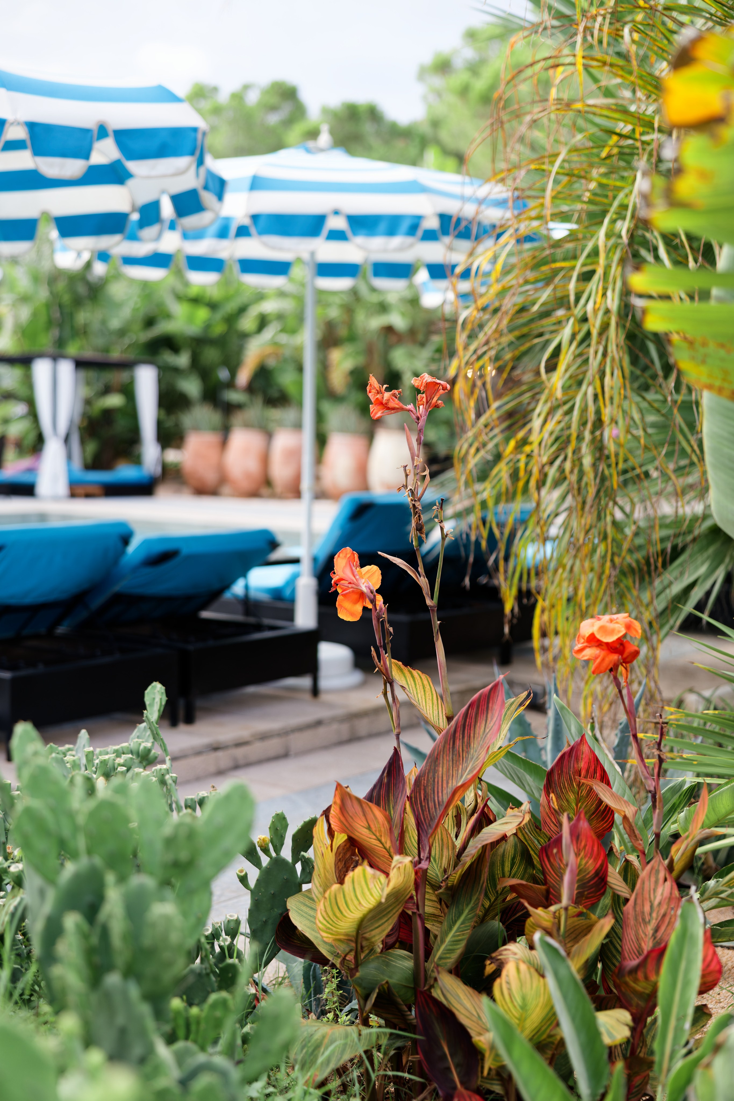 Welcome dinner of Gracie & Joe at Gran Villa Rosa