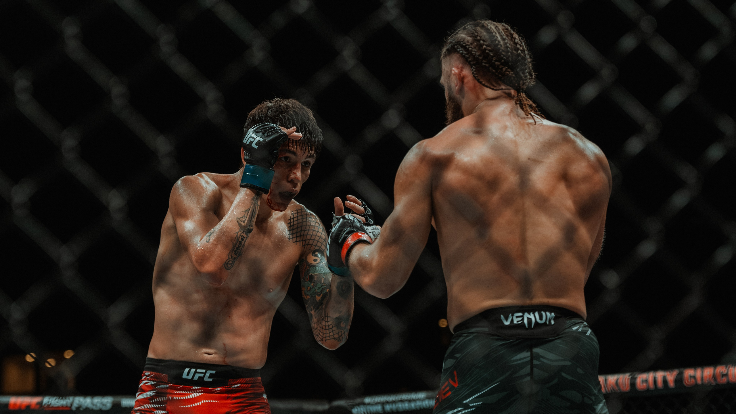 UFC. Commercial and Event photographer Eltaj