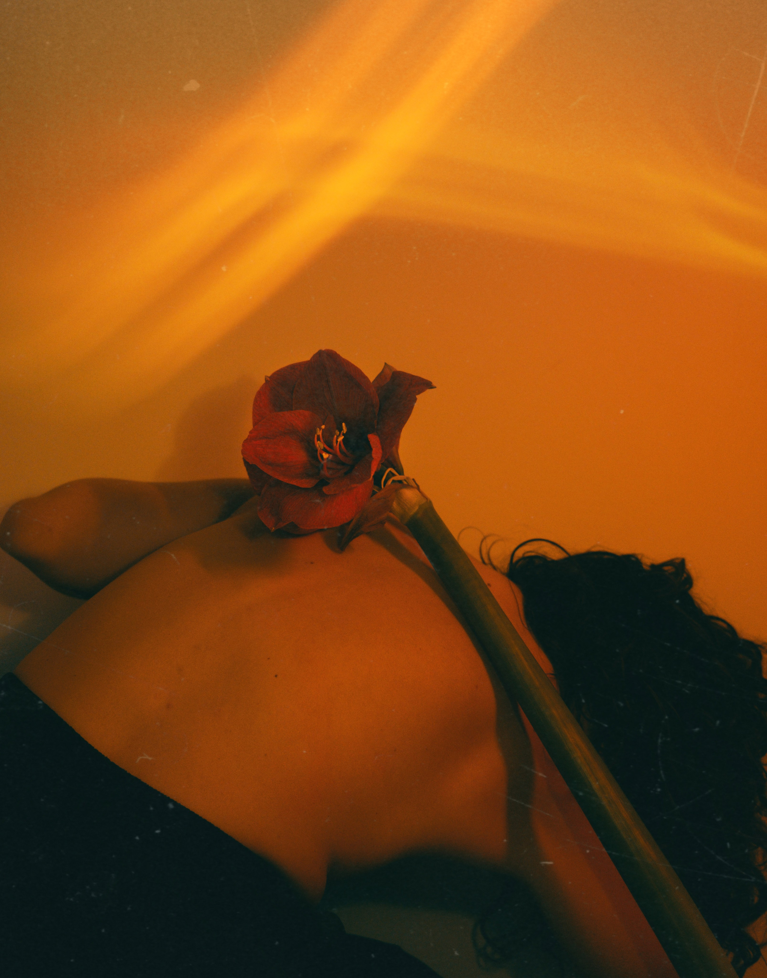 Maddi. Professional Photographer in Berlin — Portraits, Love Story, Events, F