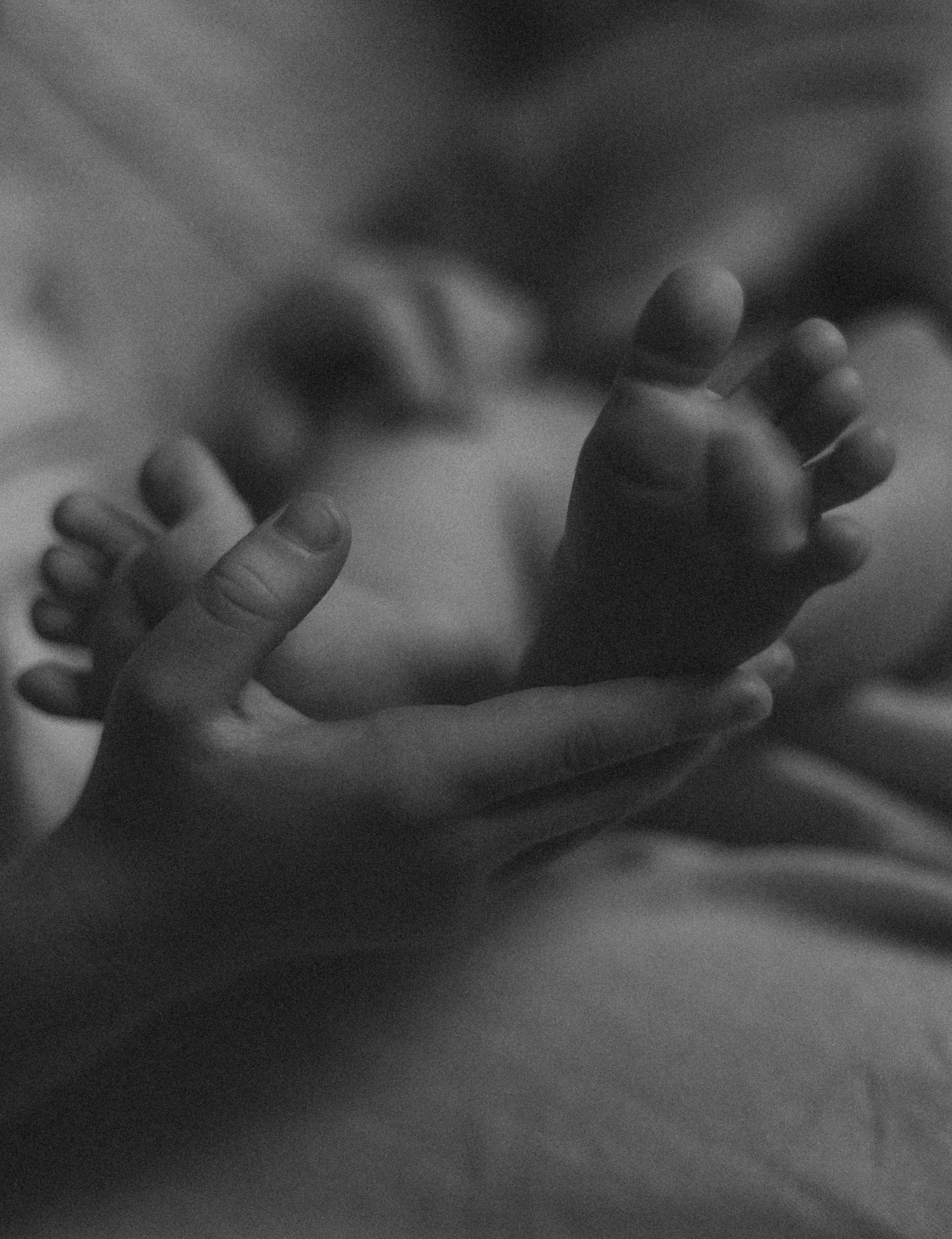 LĪVAS ģimene. GALVENĀ