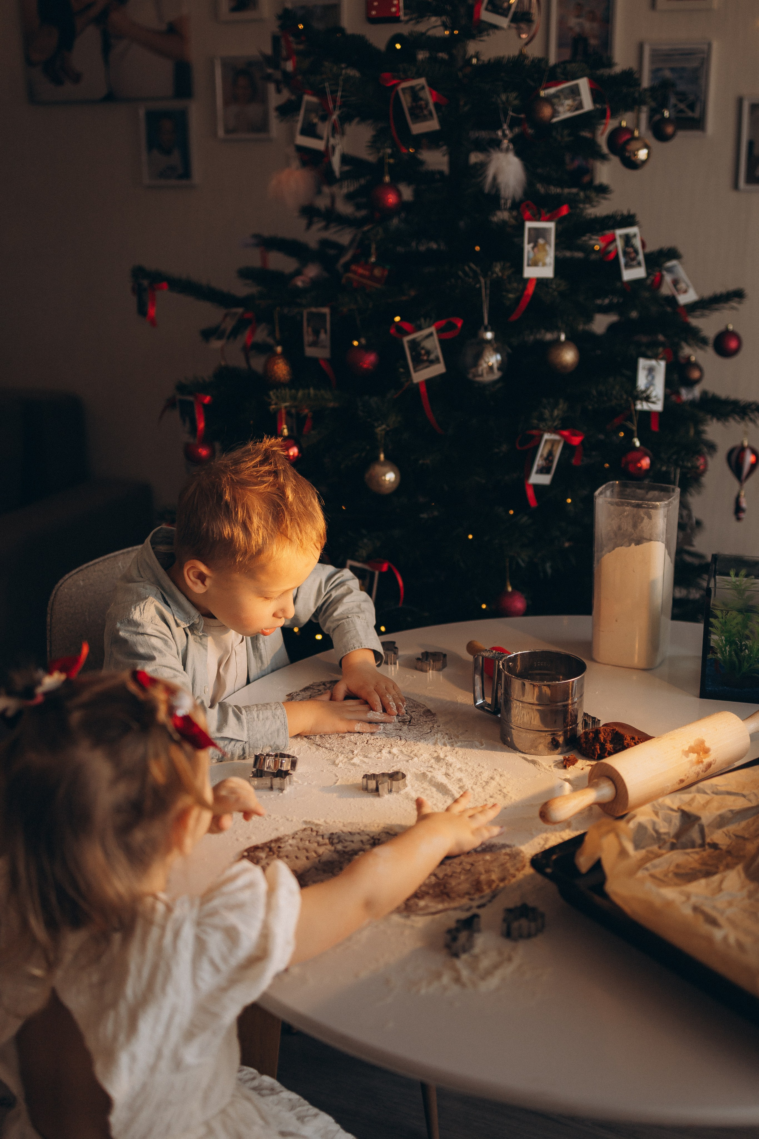 LANAS ģimene. GALVENĀ