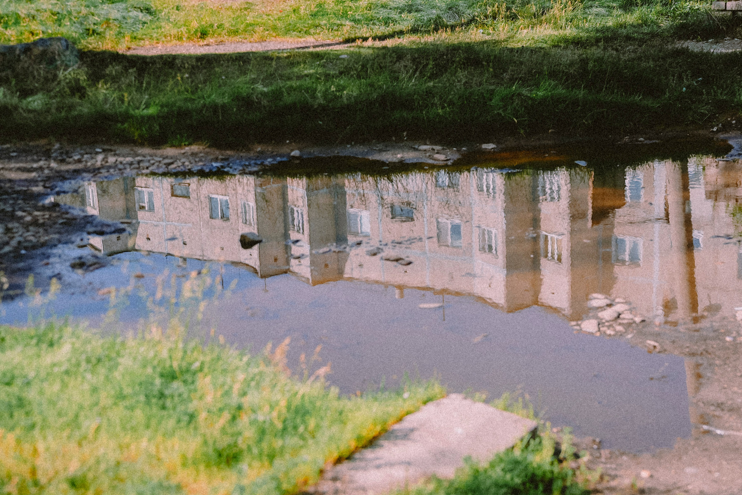 2025. Стрит-фотография, полная абсурда, идиотизма и красоты