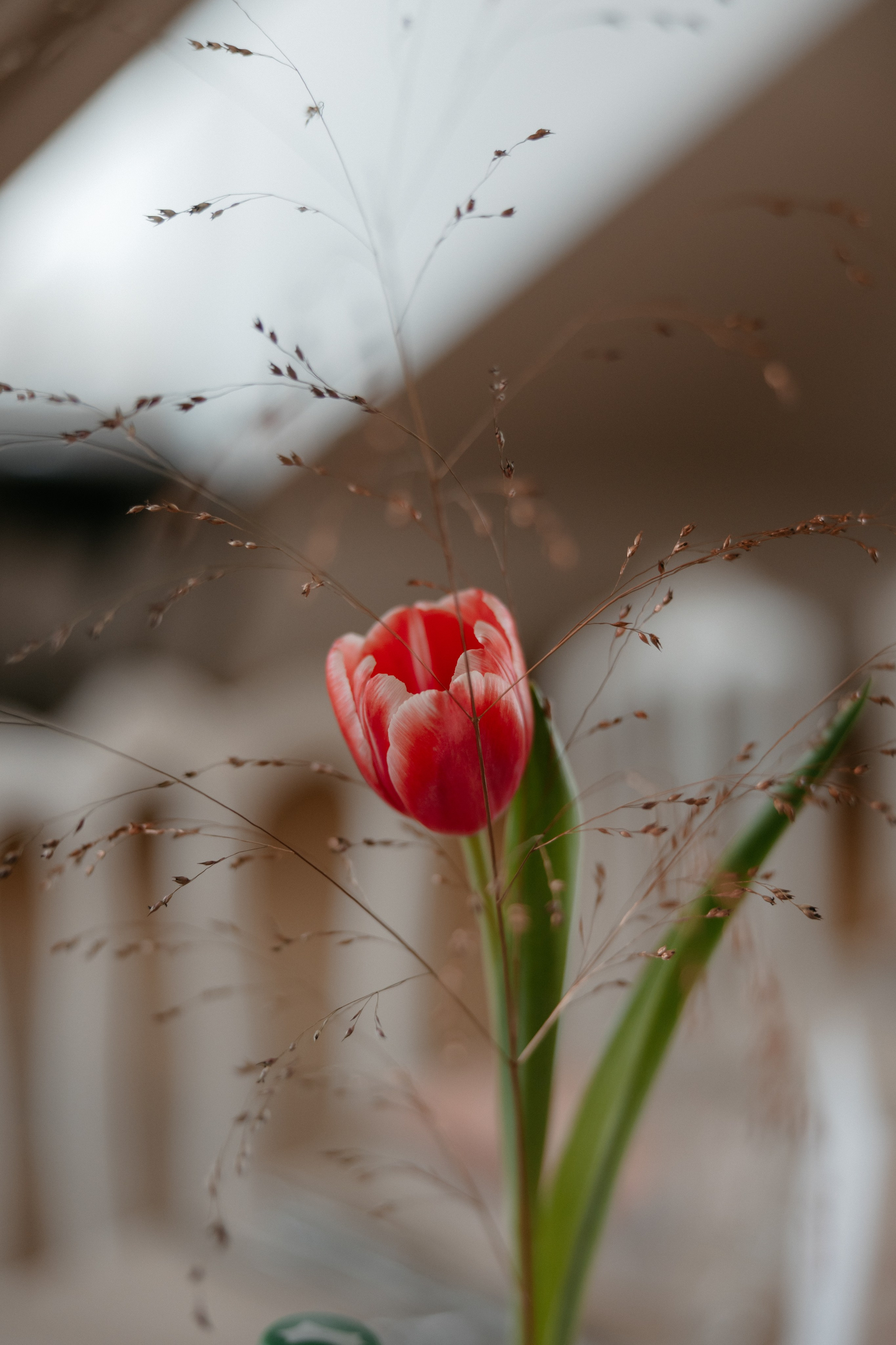 Chrzest Święty Amelki. Fotograf Siedlce