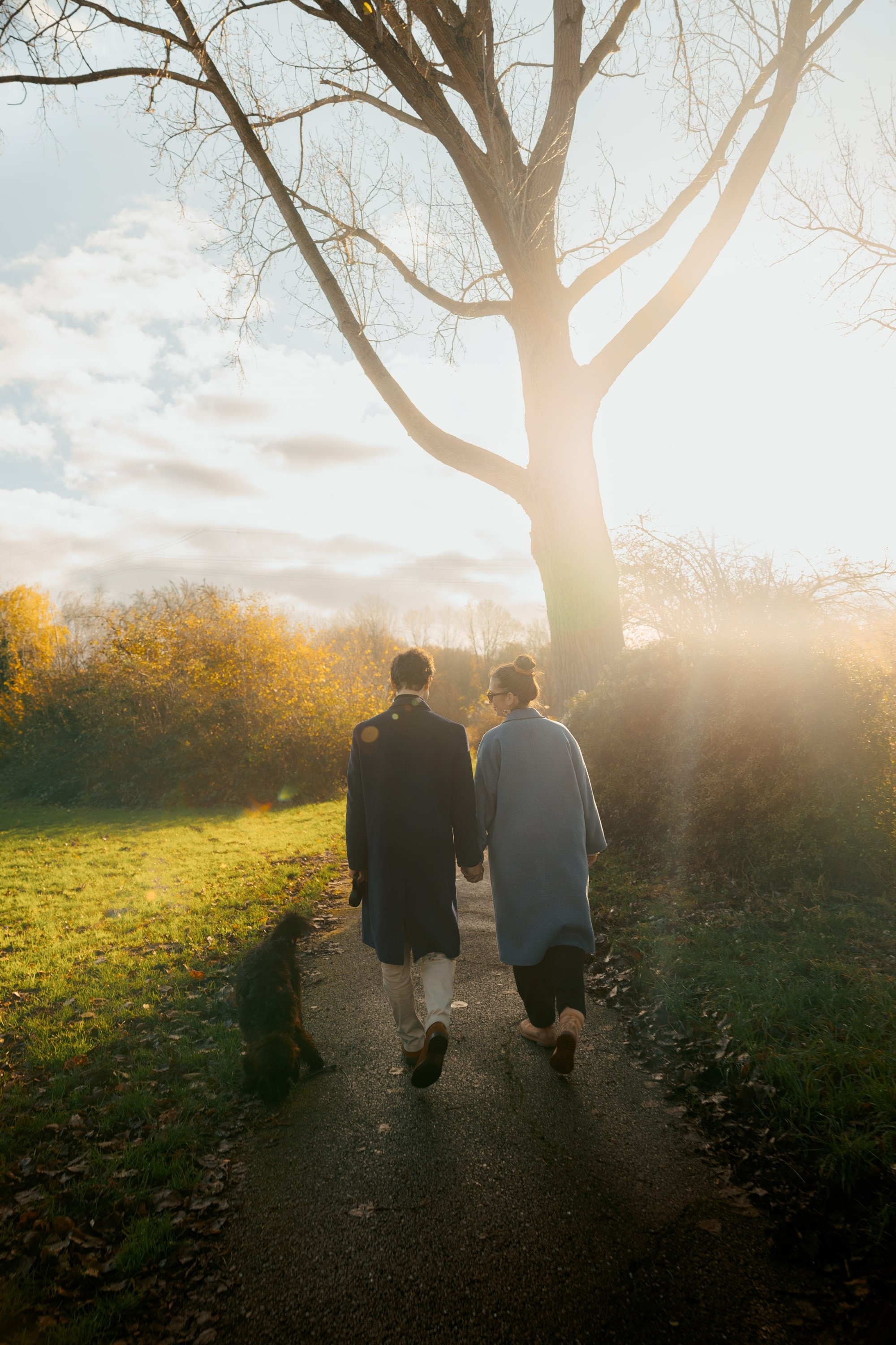 Pet Photoshoot in Spijkenisse | Rotterdam. Romantic & Soulful Photography by Natalia Olhova in Rotterdam