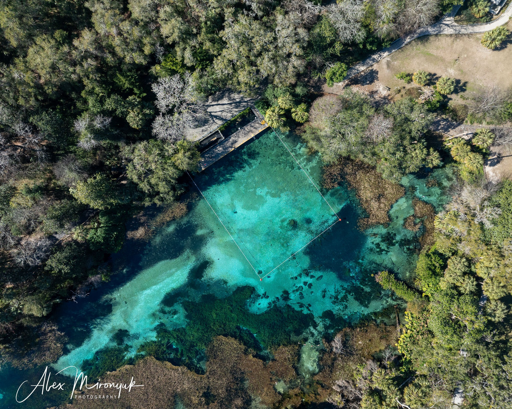 Exploring True Florida: Springs, Rivers & Manatees by Canoe. Pet, Senior, Landscape, portrait studio, photographer in Miami and Sou