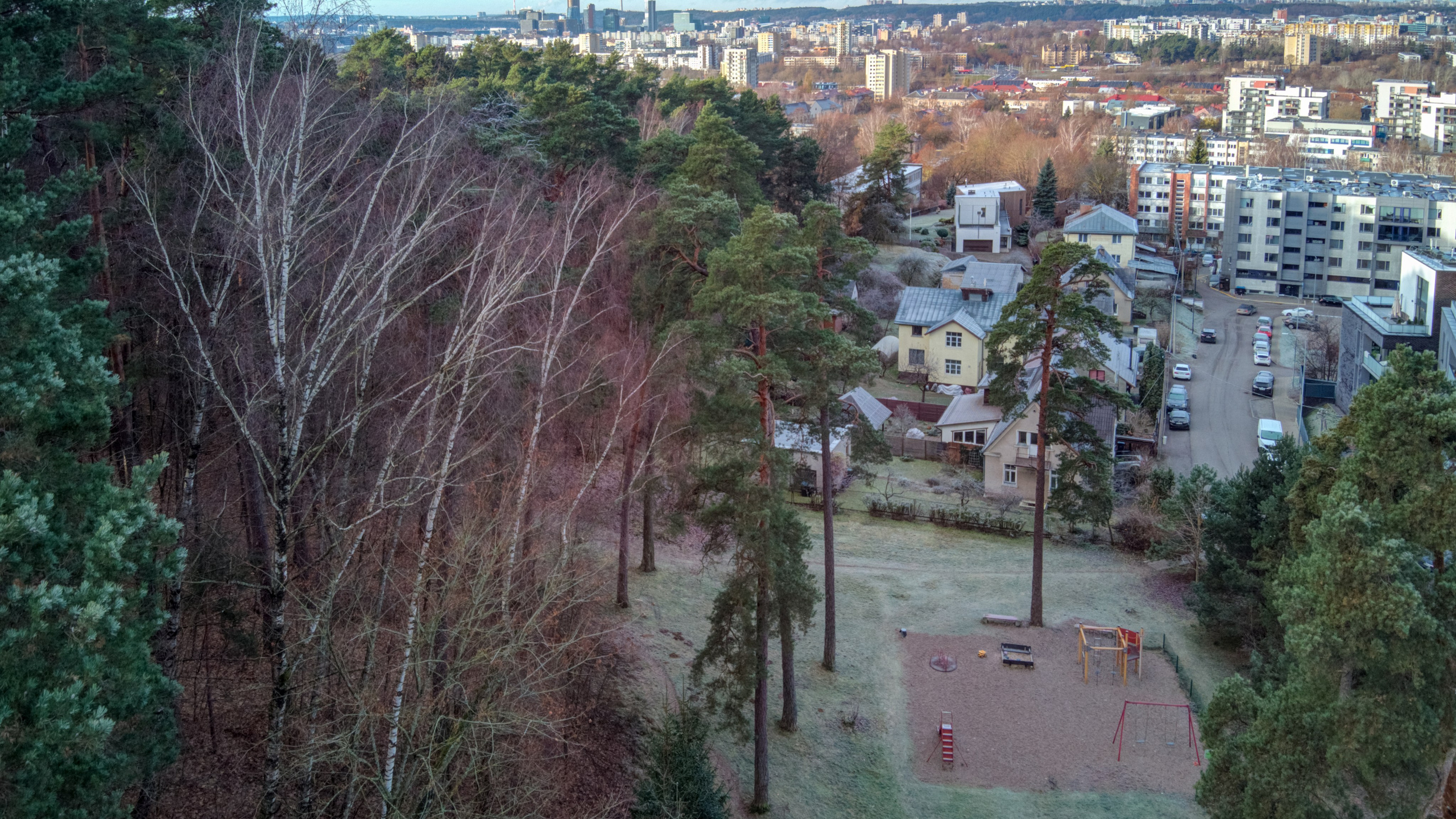 Dronas Antakalnis, Kanklių 10. Elina Sapiega fotografė Vilniuje