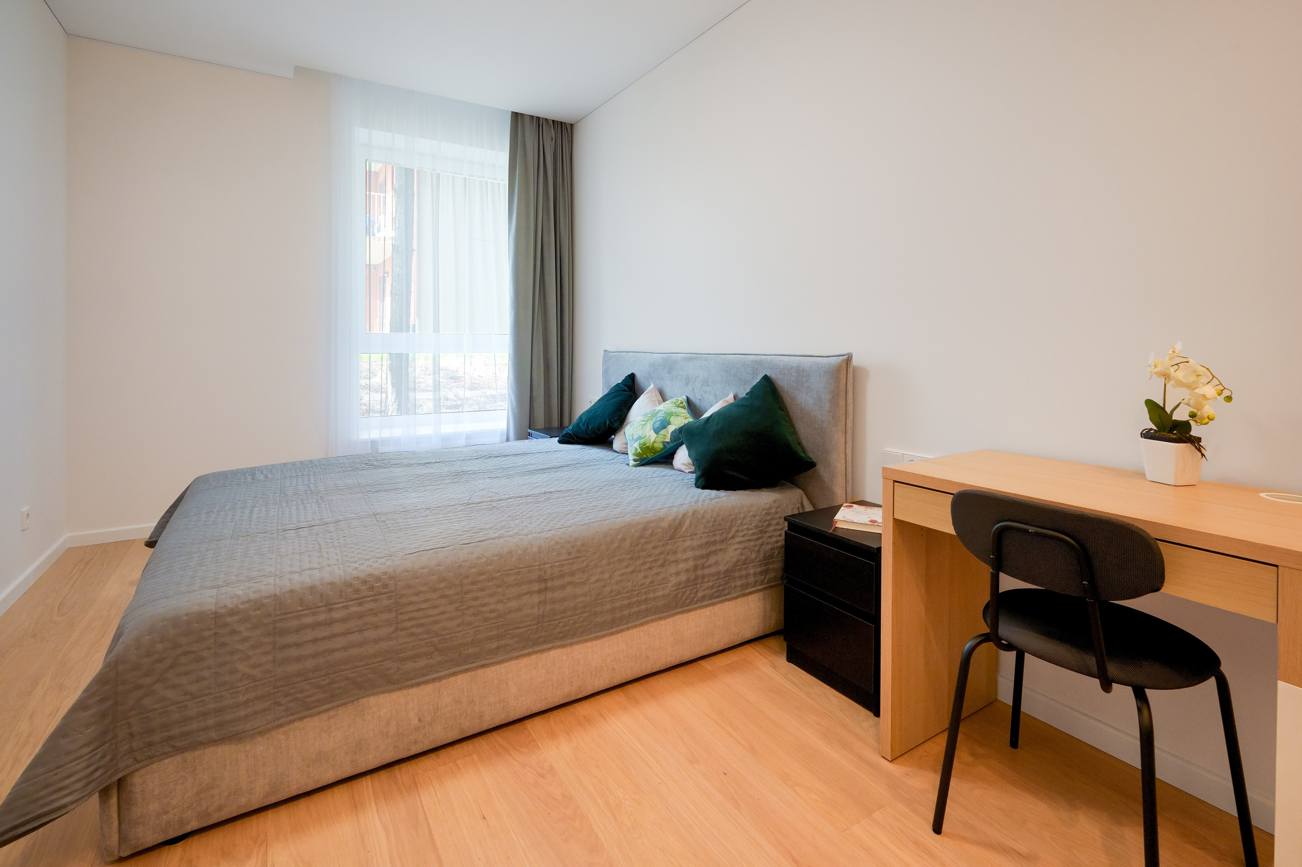 Baltupio g. 63. Elina Sapiega fotografė Vilniuje