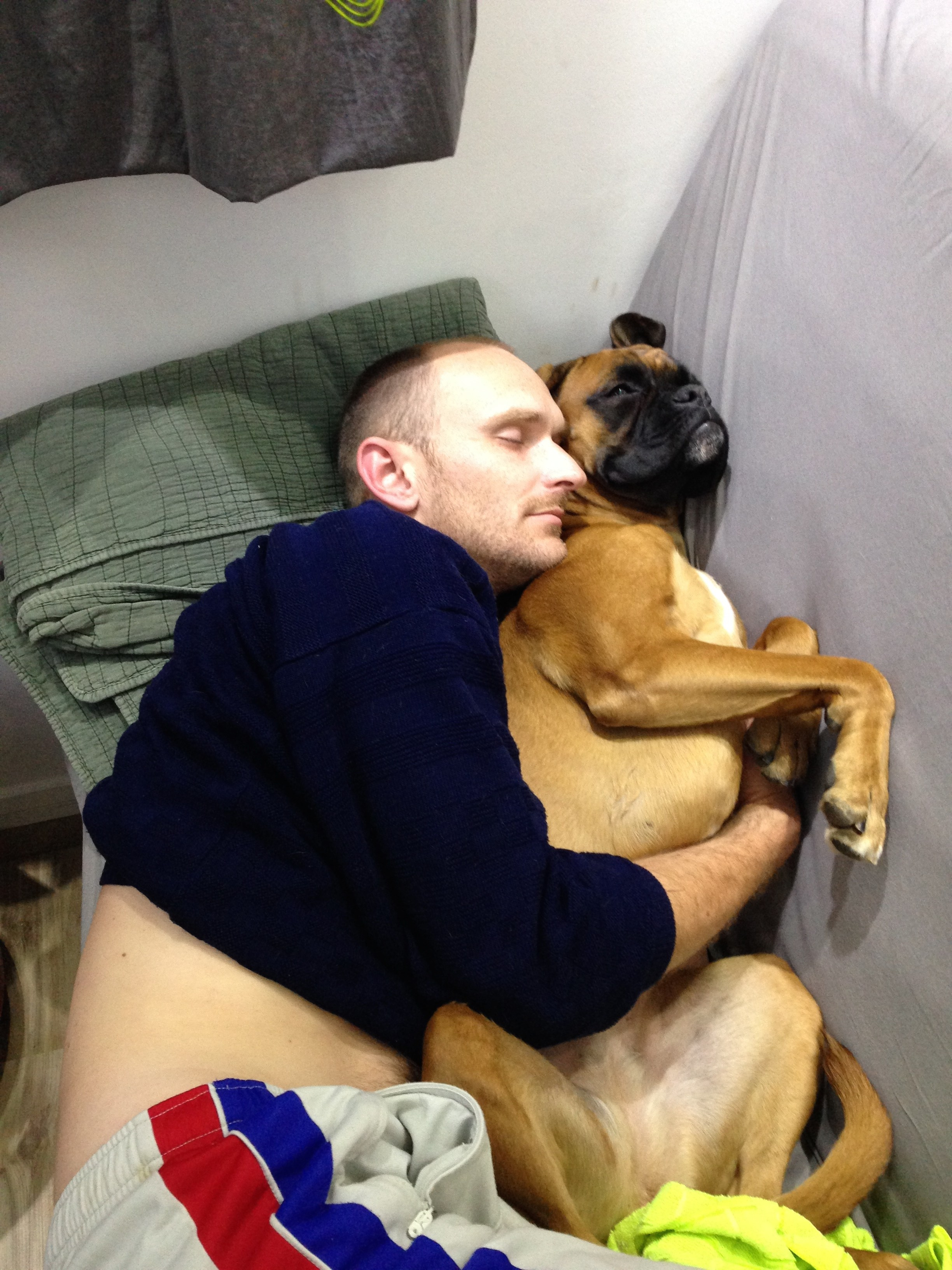 My ״Star״ Boxer Dog