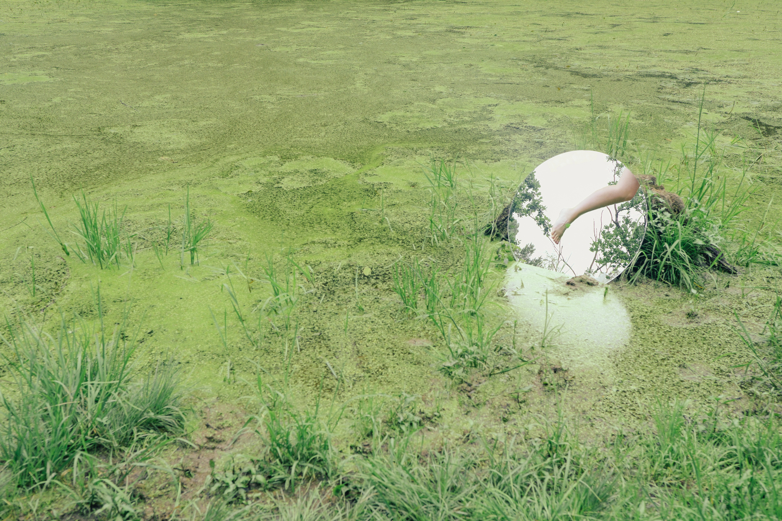 Современная фотография. Photographer Anastasiya Dubrovina