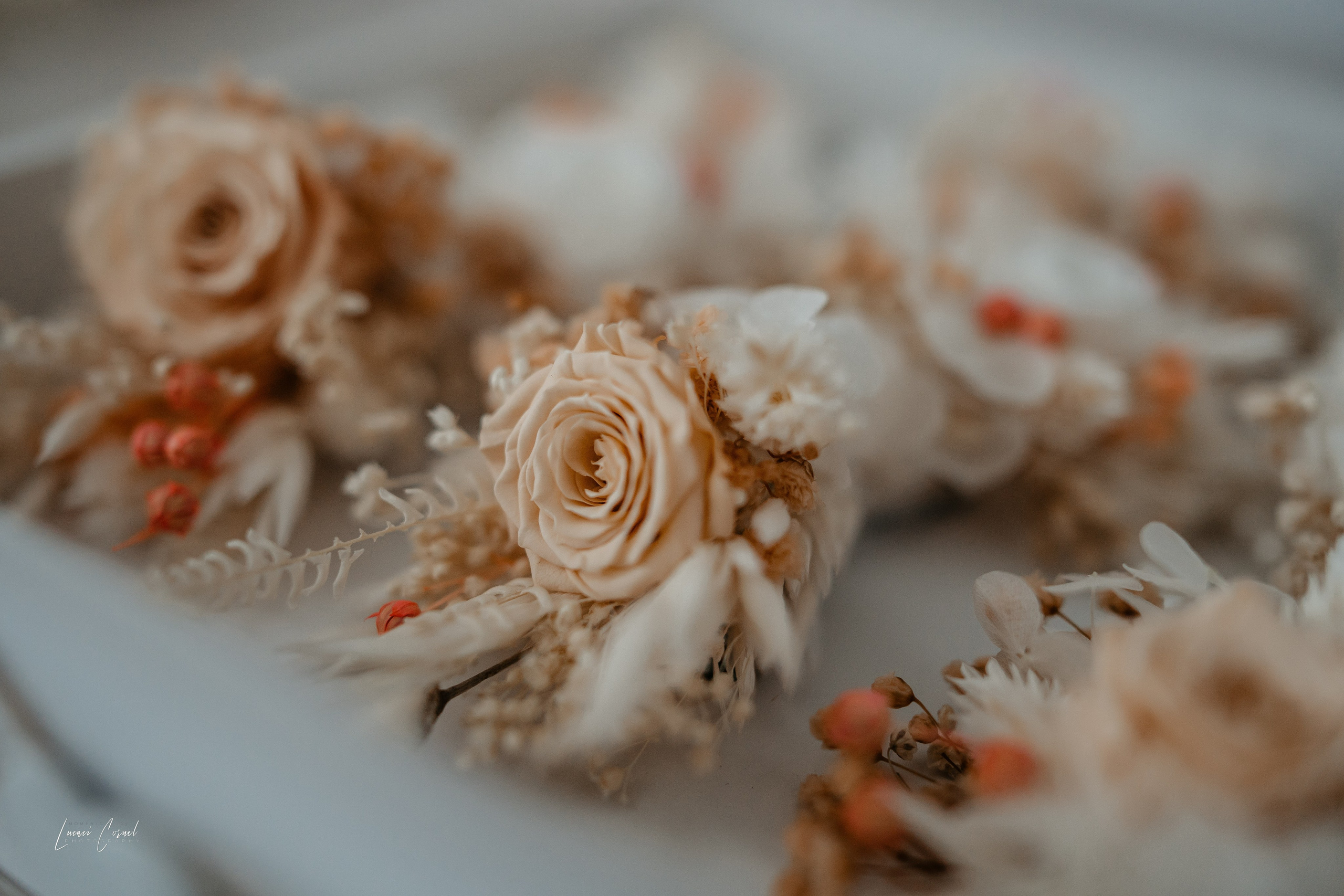 Ioana & Dan – Album de nuntă plin de emoție. Fotograf de nuntă, corporate, botezuri, majorate și aniversări Roman, Lucaci Cornel