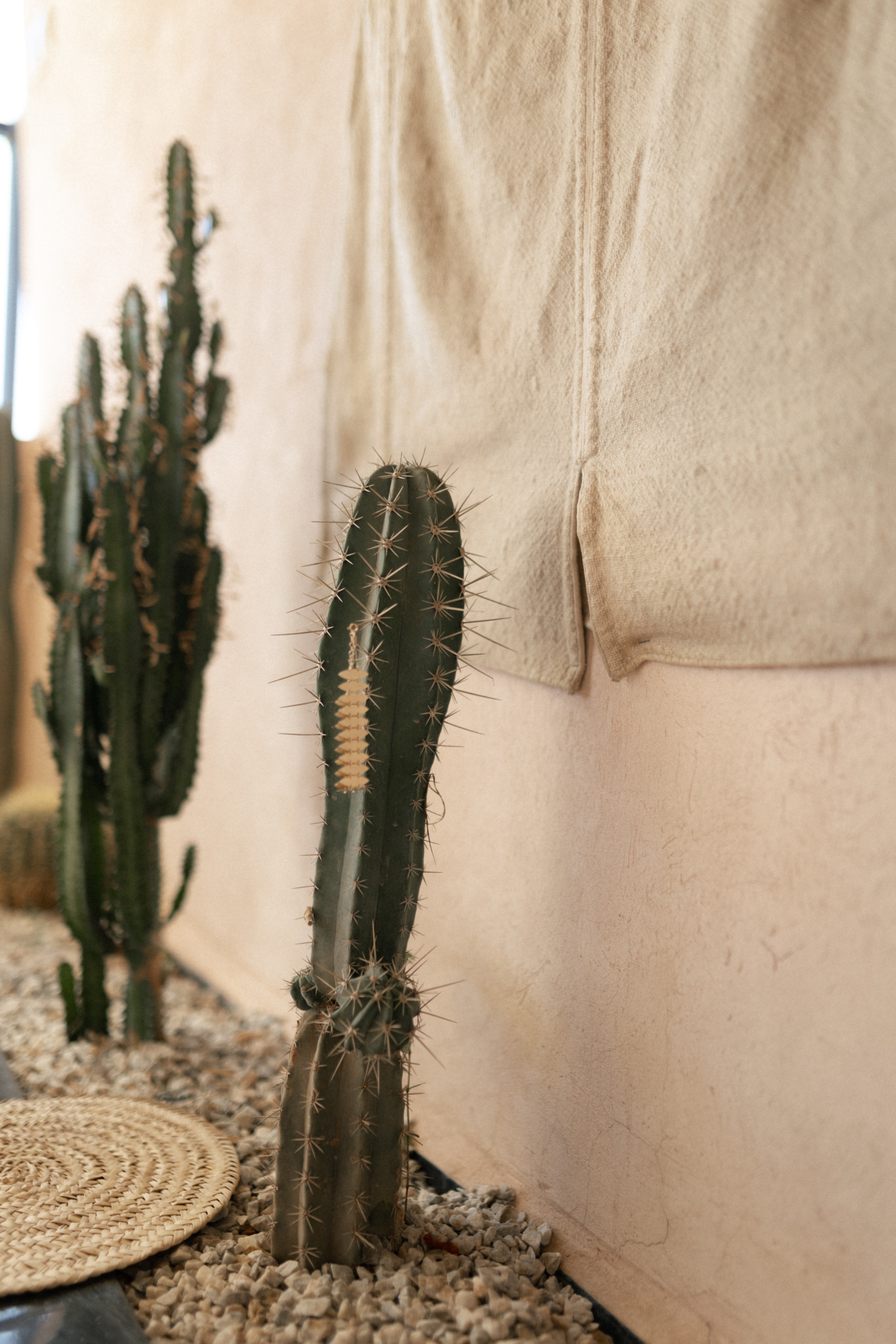 Morrocan dream. Patricia Morenci — Mountain Adventures for the Wild at Heart