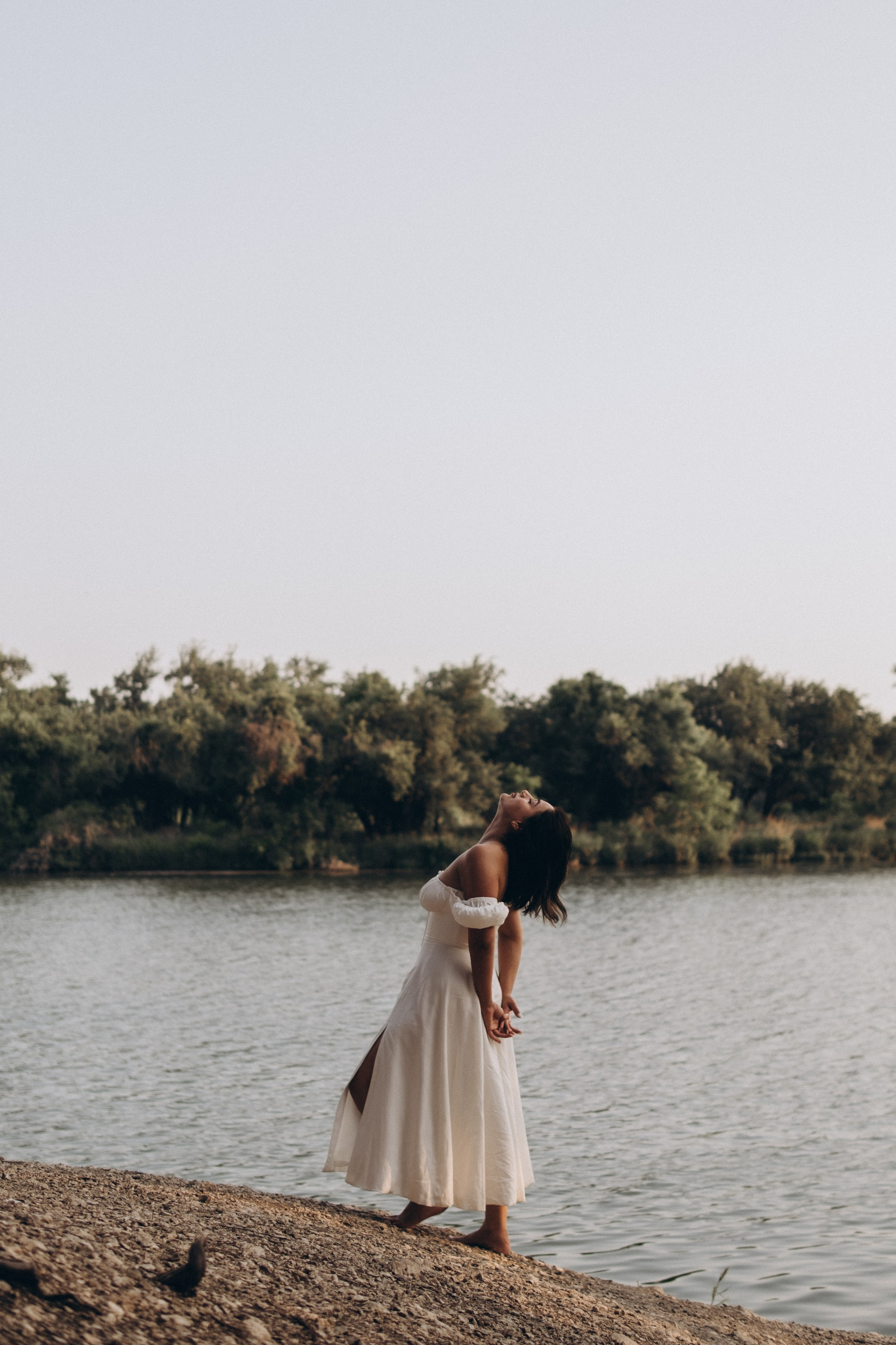 Fields of Flowers. Lens Captures Life