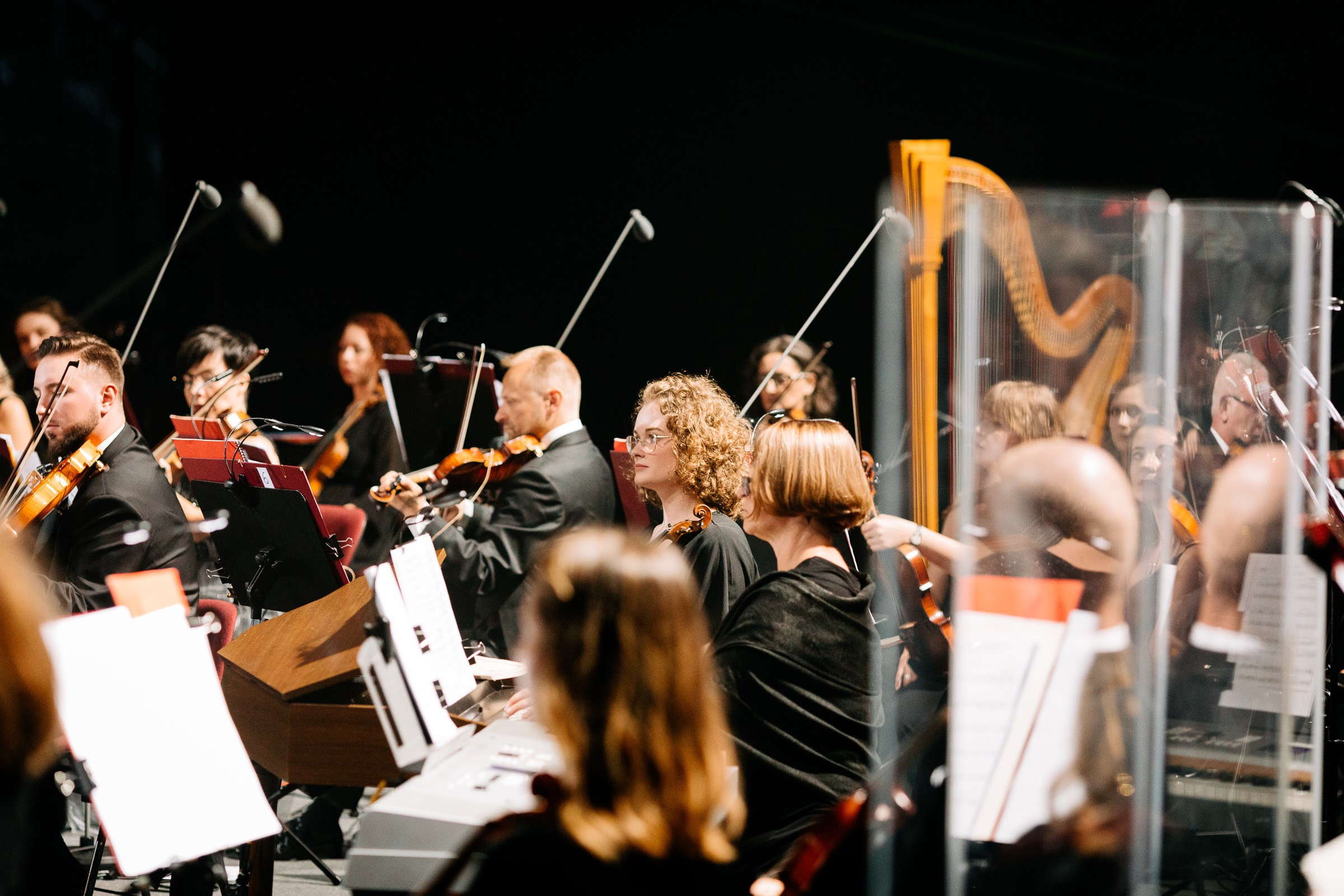 Opera Leśna Koncert. Fotograf Ślubny Warszawa - Sesje Biznesowe Rodzinne Eventy