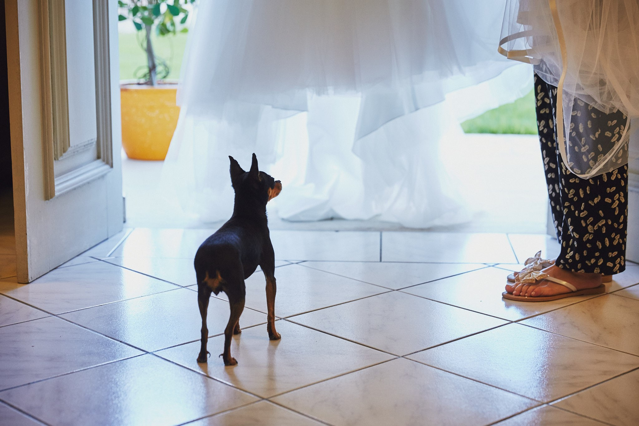 Casamento Mônica e Rafael. Fotógrafo de casamentos em Florianópolis