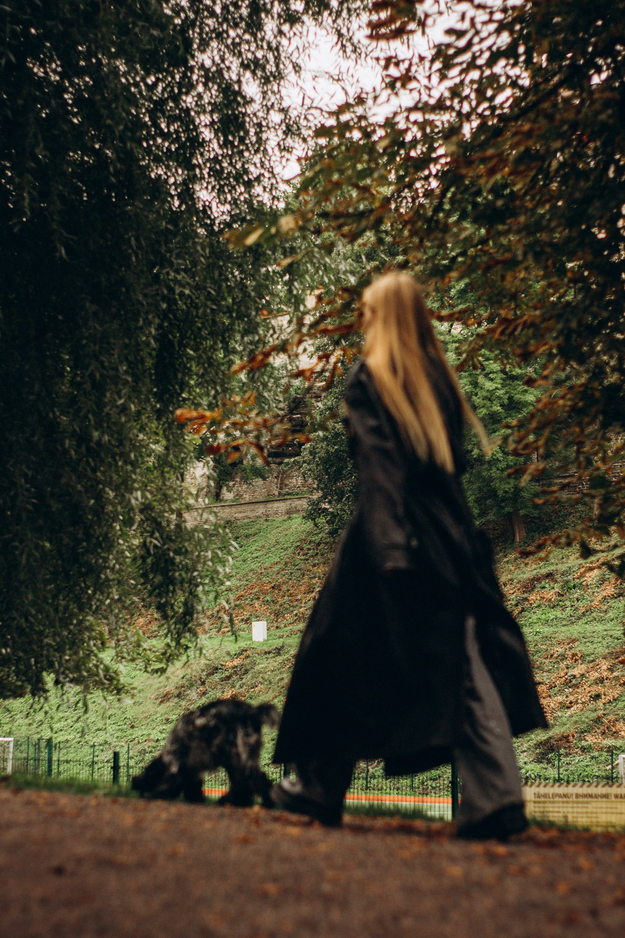 Dog Street Photography in Estonia. Kat Laisaar — Pet photographer in Tallinn